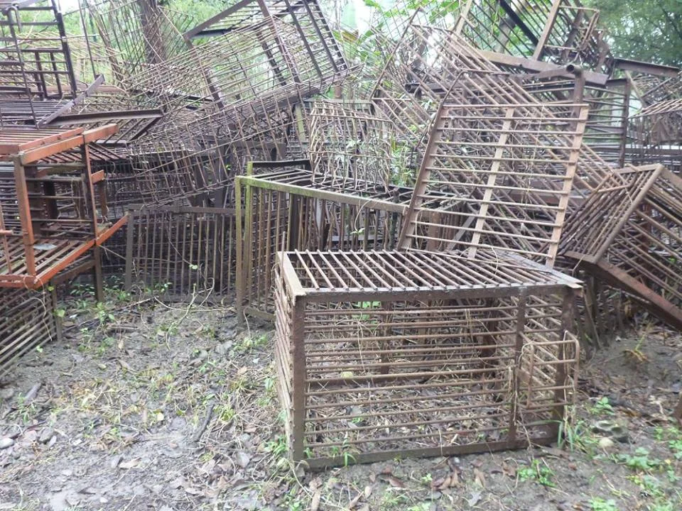 The tiny cages the bears are kept in their whole lives at bear bile farms, before being rescued.
