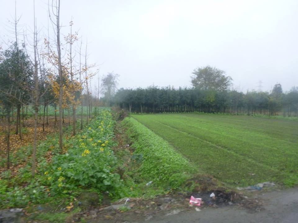 The beautiful farm land surrounding the centre.
