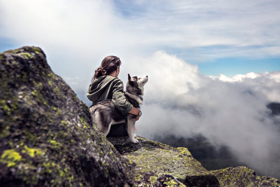 Imagine travelling the world with your beloved fur friend!