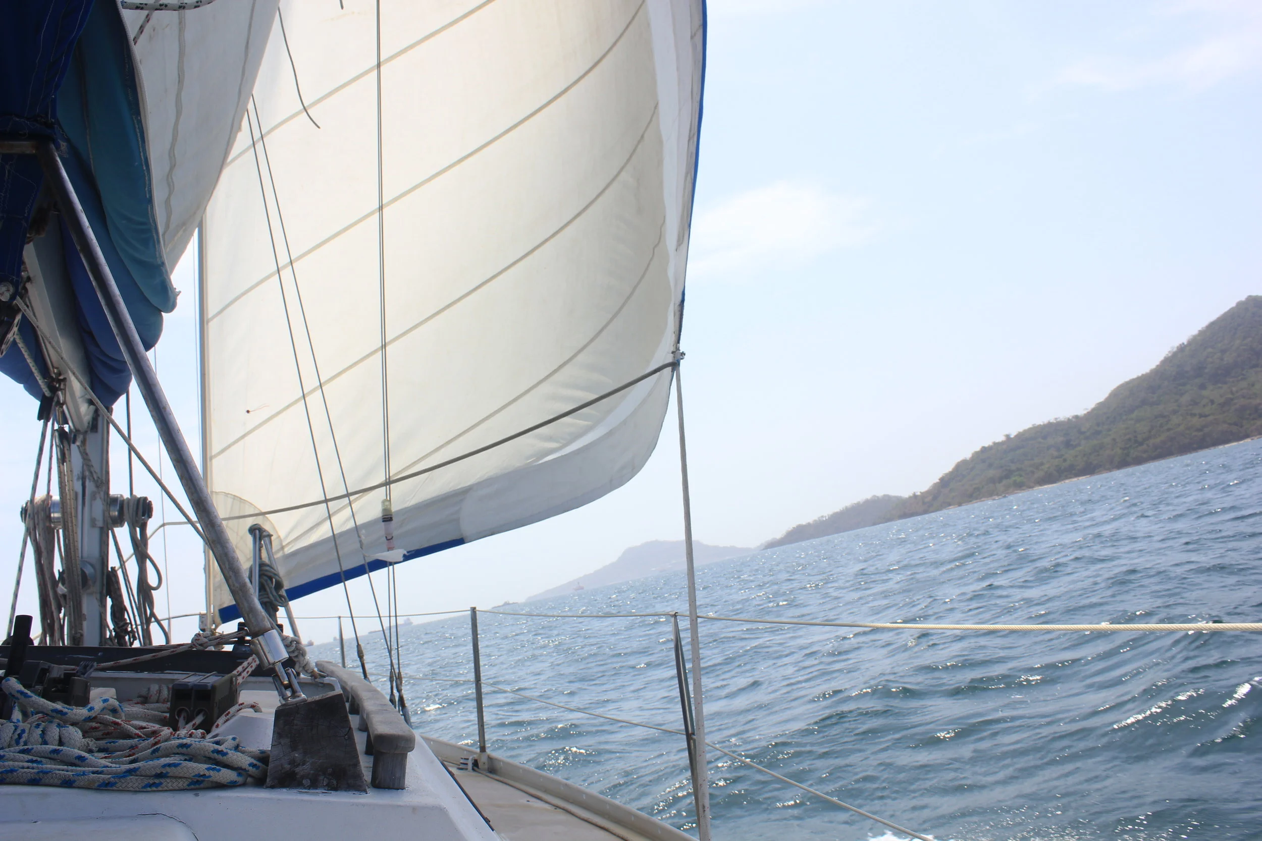 The Story of Chuffed: Why I gave up 'real life' to sail and save animals!