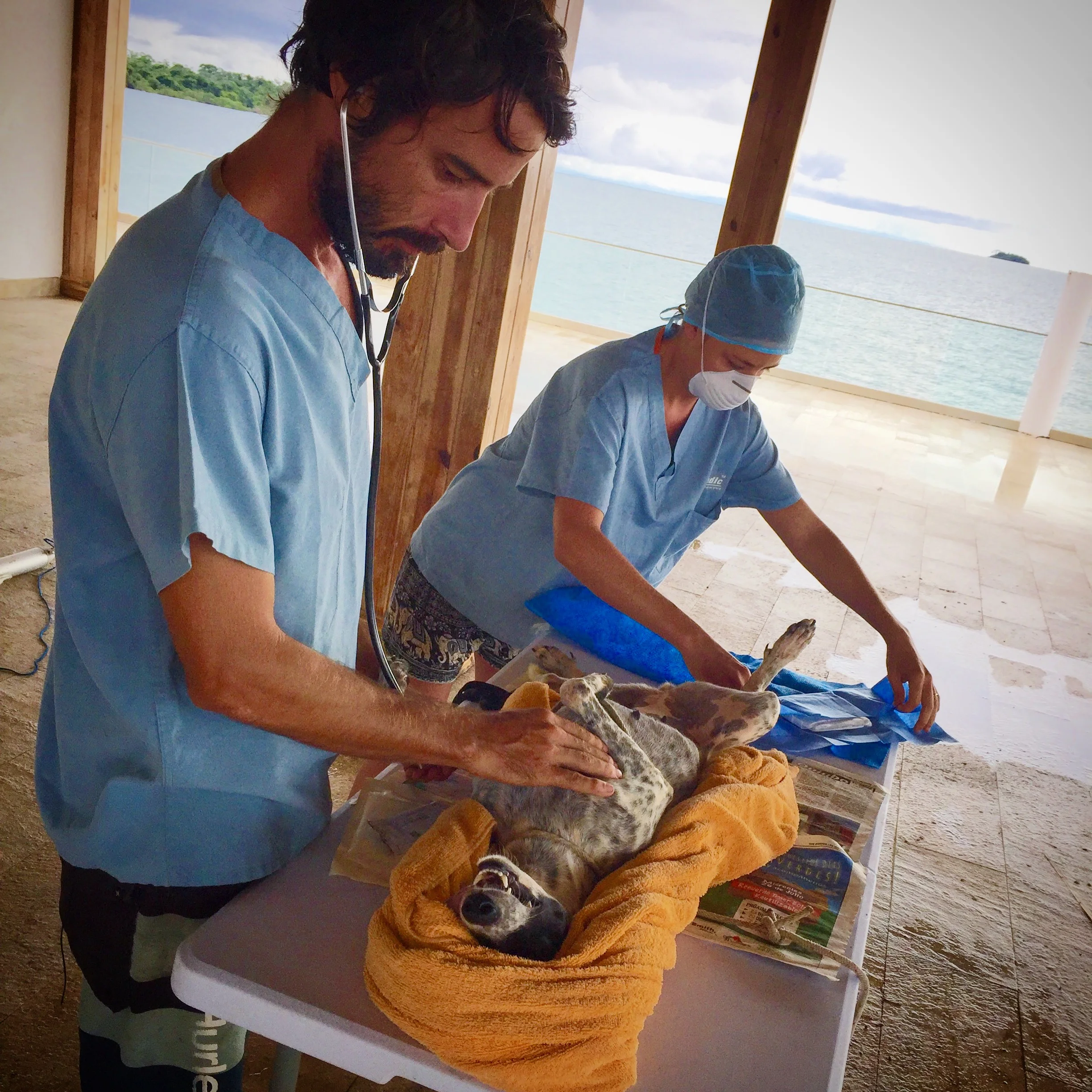Over 100 animals treated... Mission: Pearl Islands