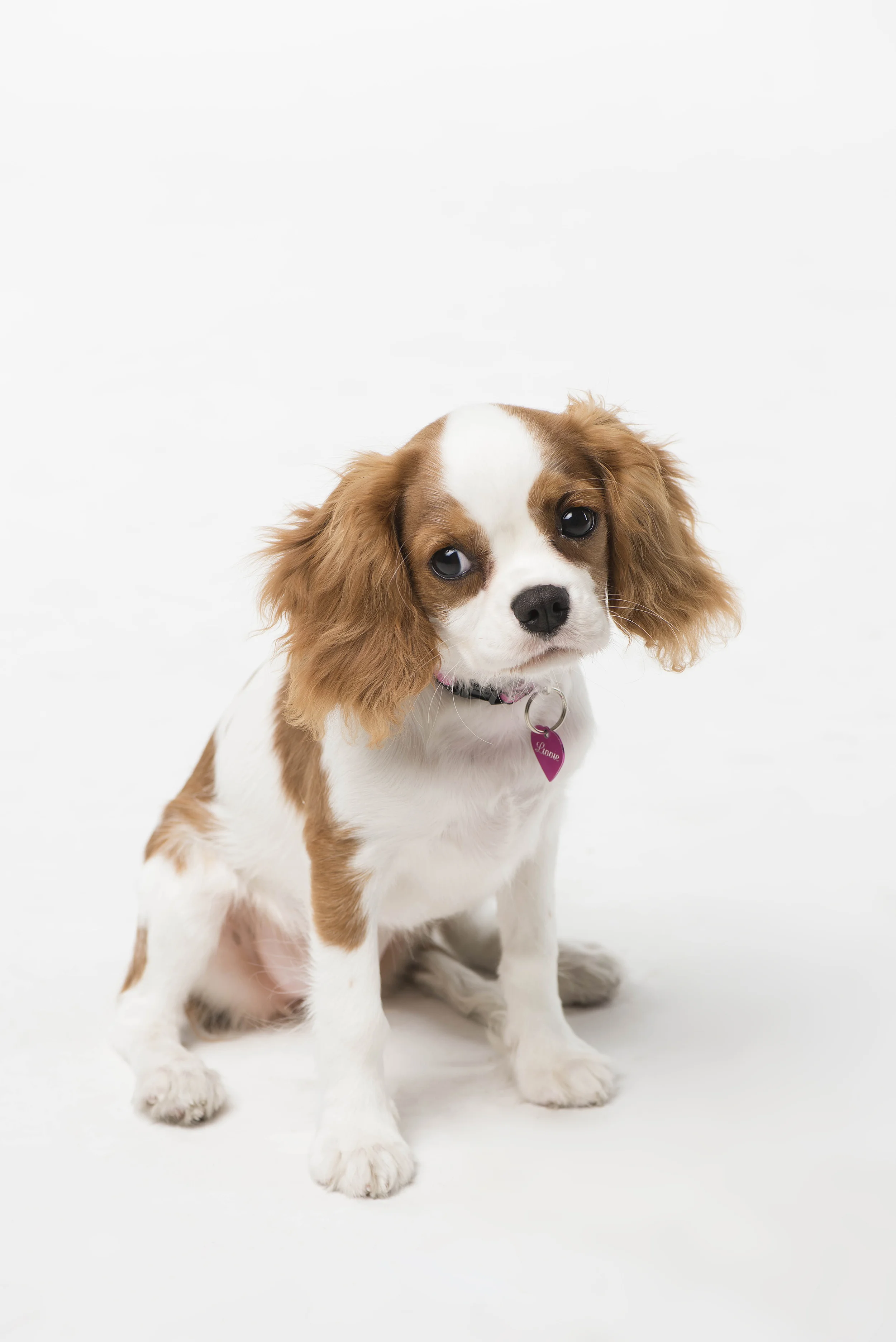 _DSC8091 retouched.jpg