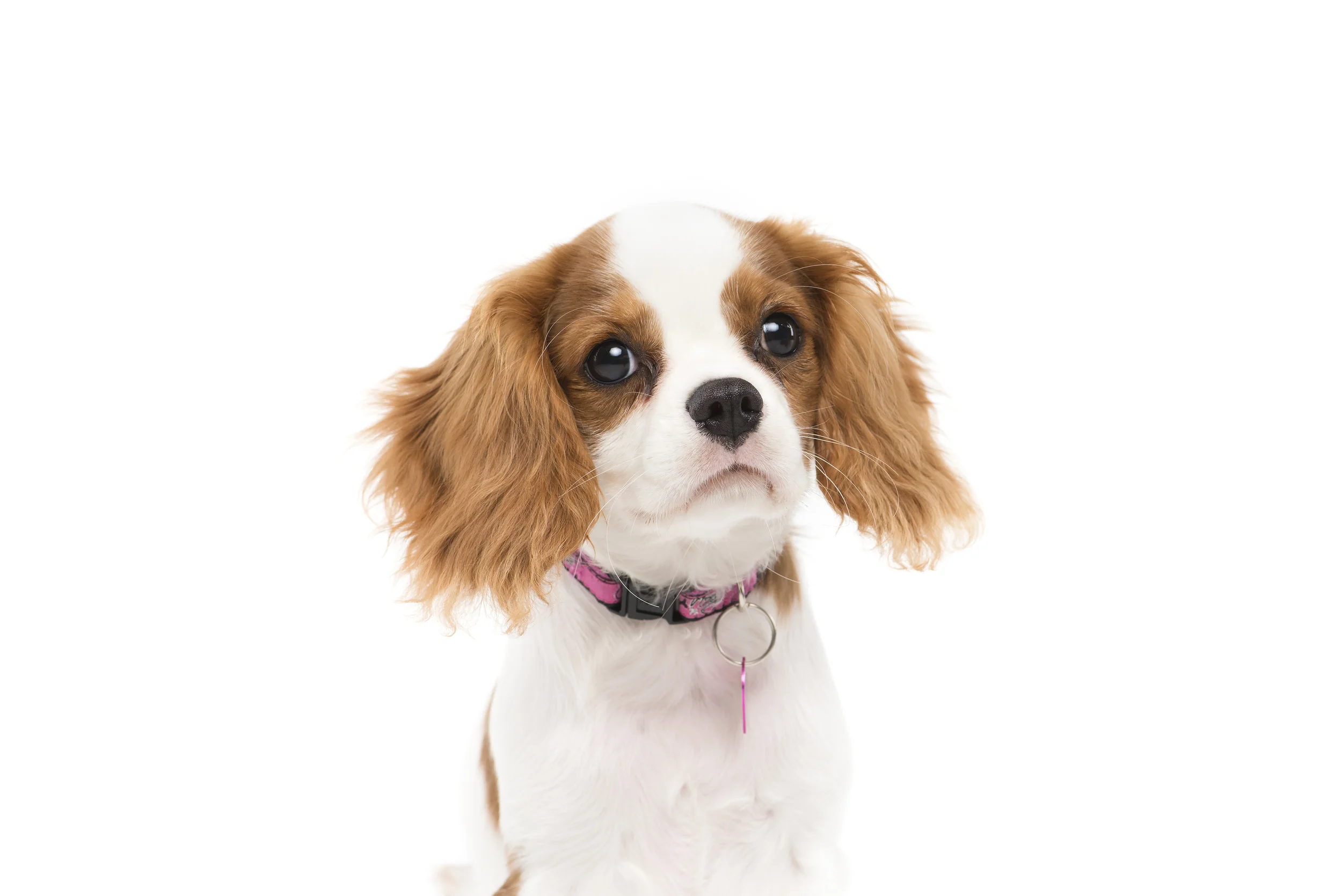 _DSC8115 retouched.jpg