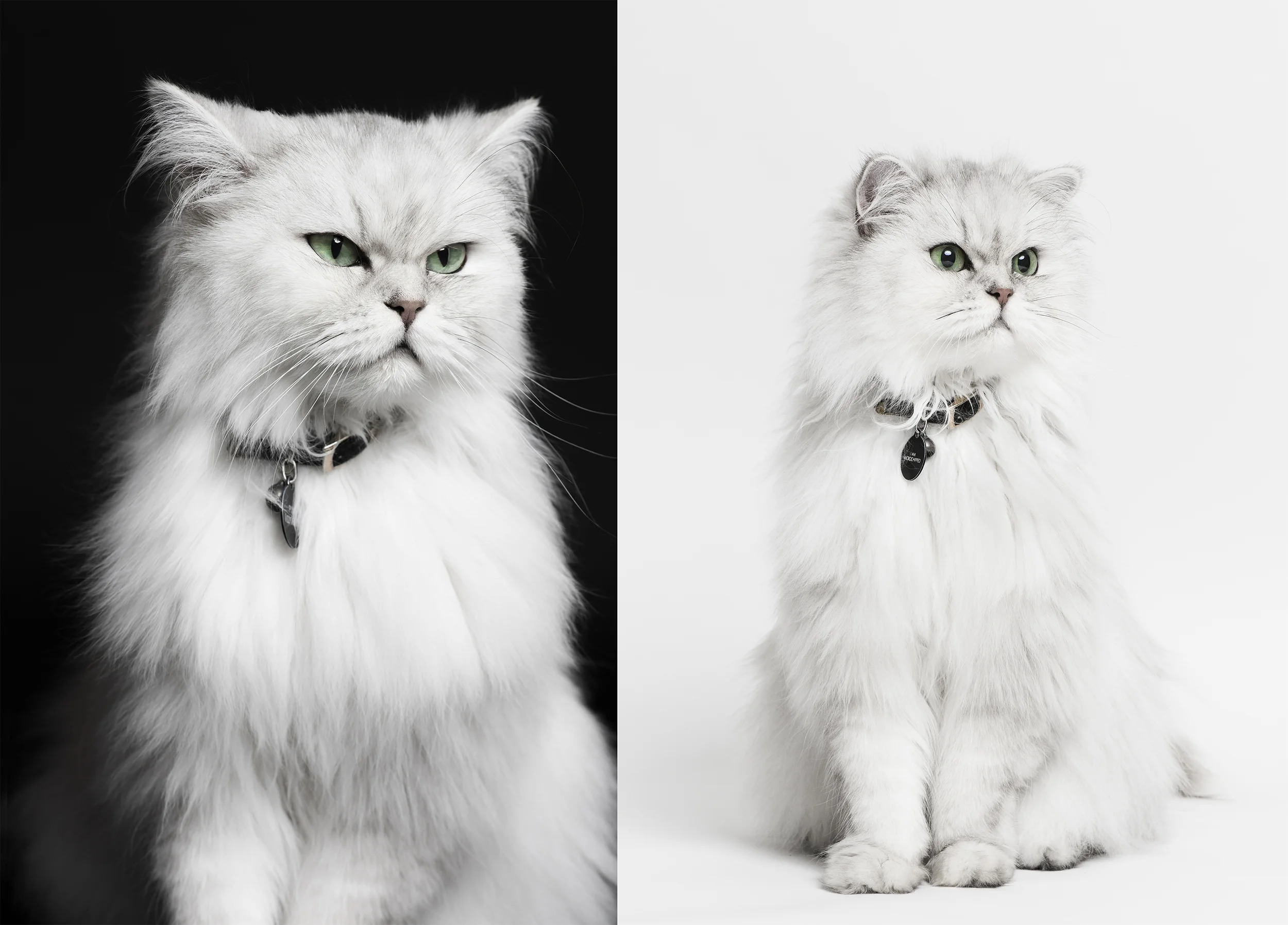 black&white.jpg