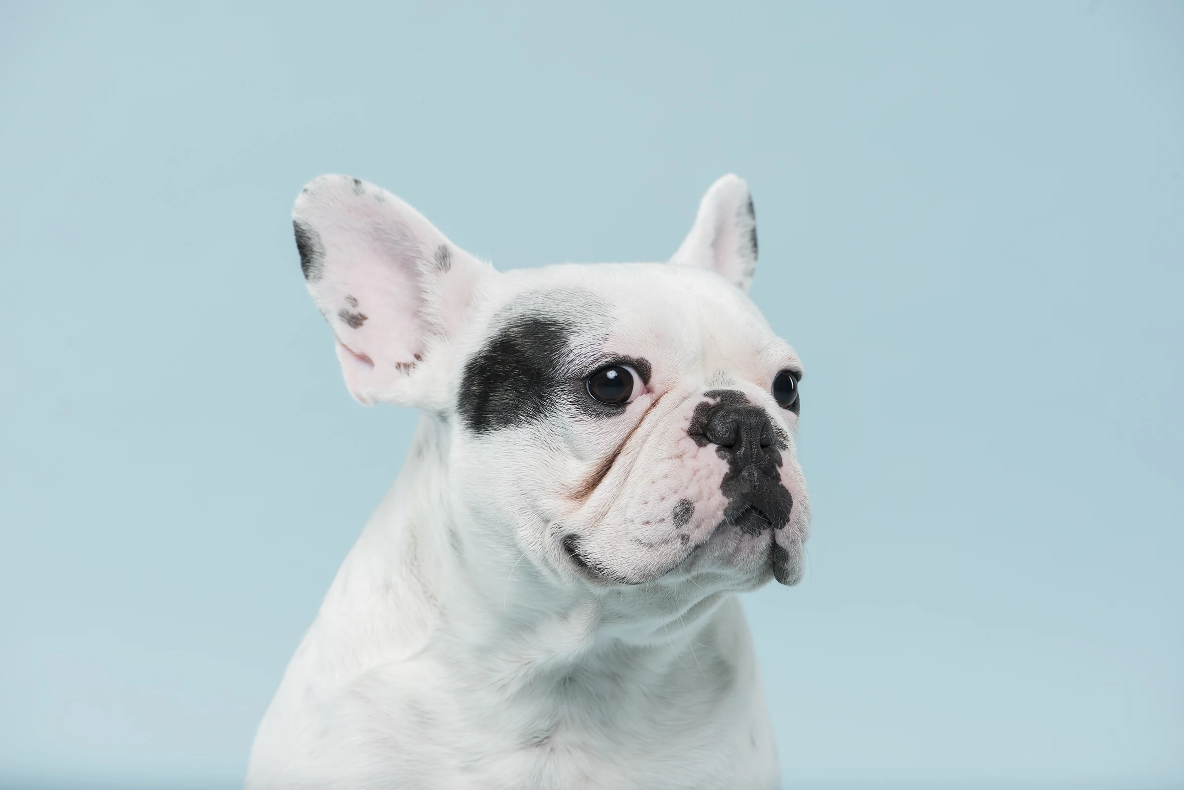 _DSC0455 resized.jpg