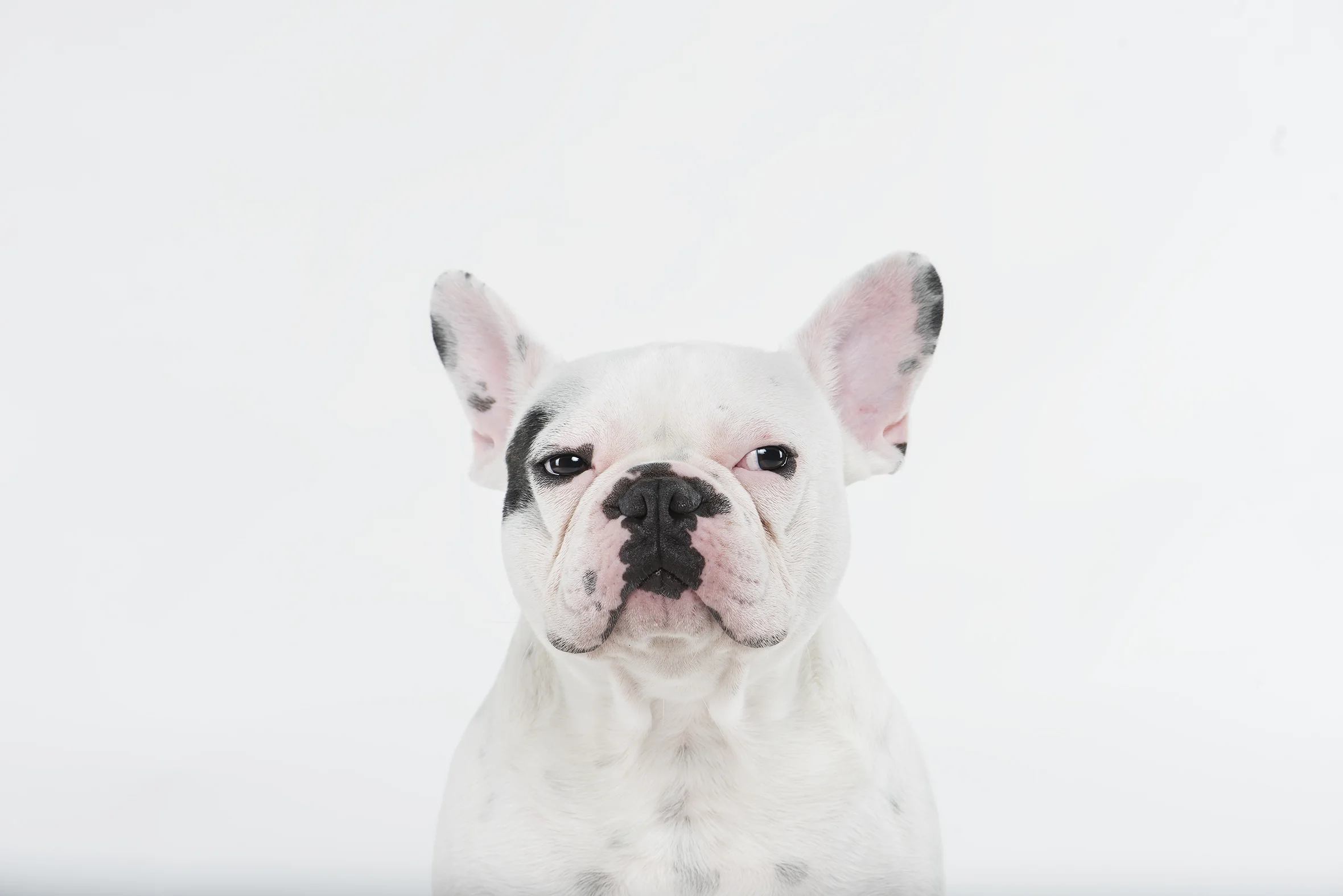 _DSC0424 resized.jpg