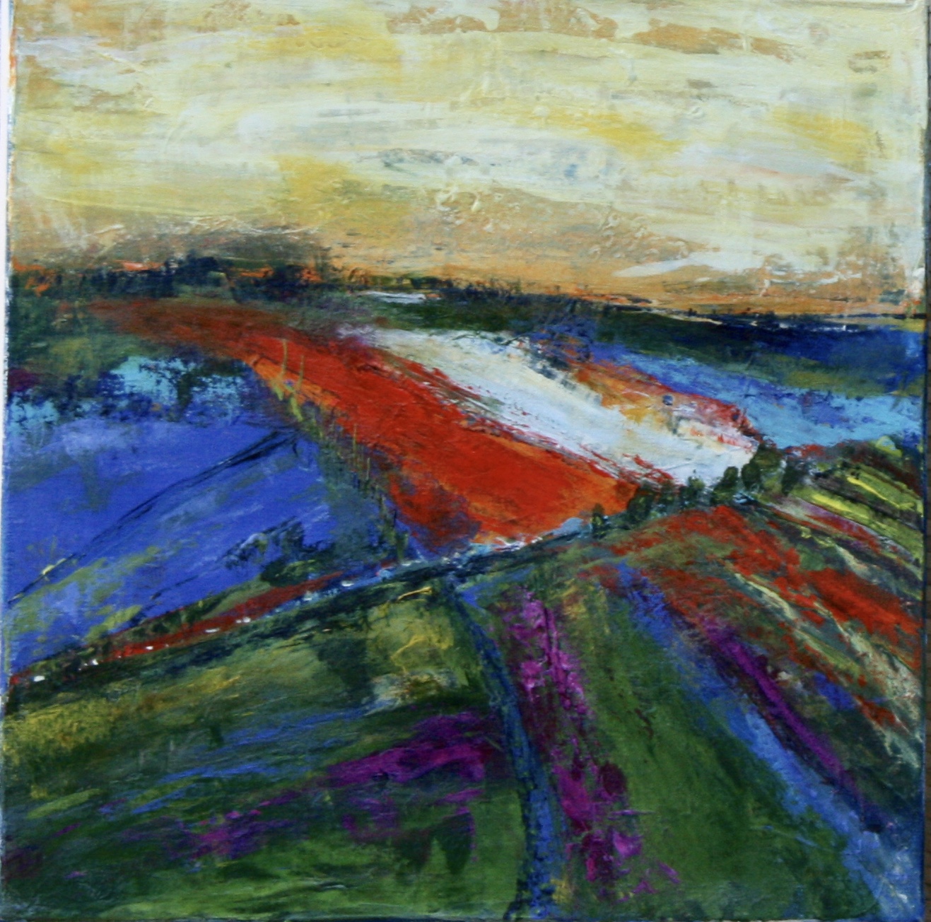 Fields of Blooms