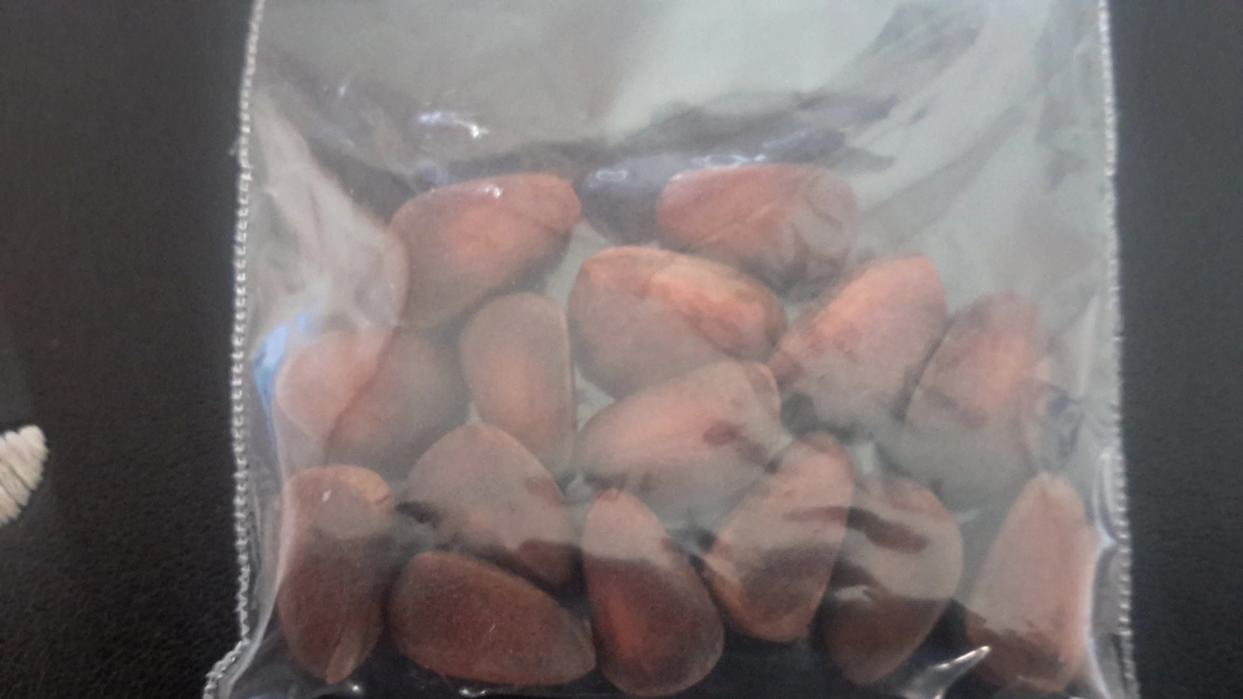 Arolla Pine (Pinus Cembra)