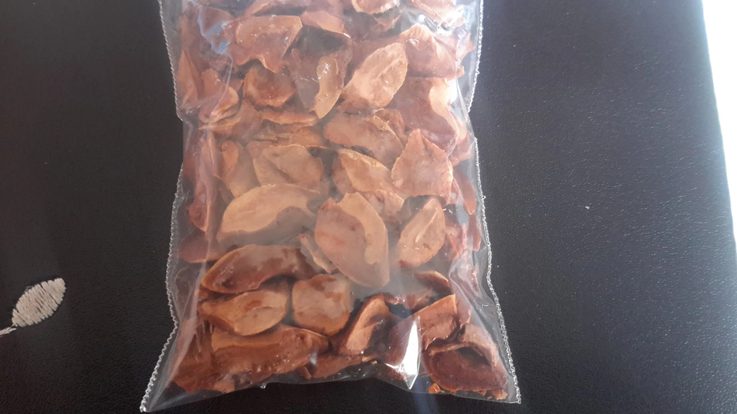 Swamp Cypress (Taxodium Distichum)