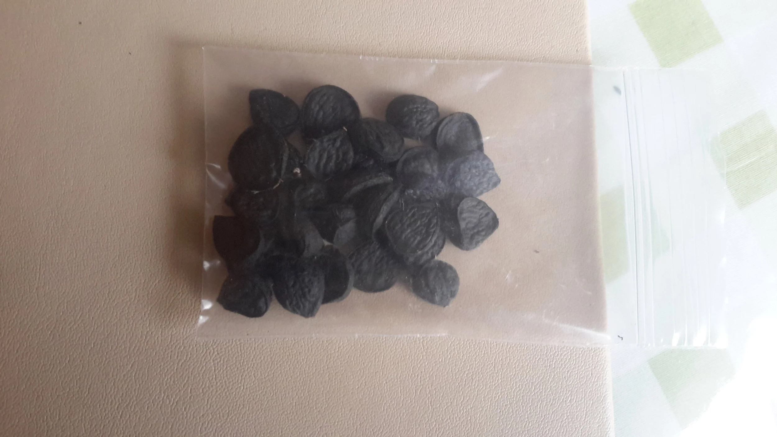 Yucca Schidigrea Seeds