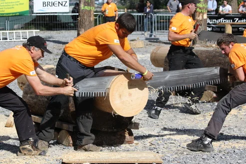 Brienzer Holzfällertage