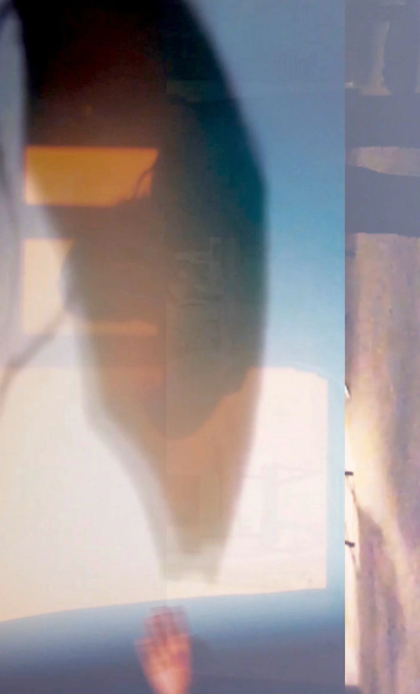 The First Ten Classes of the Skinner Releasing Introductory Cycle (bilingual in French and English)