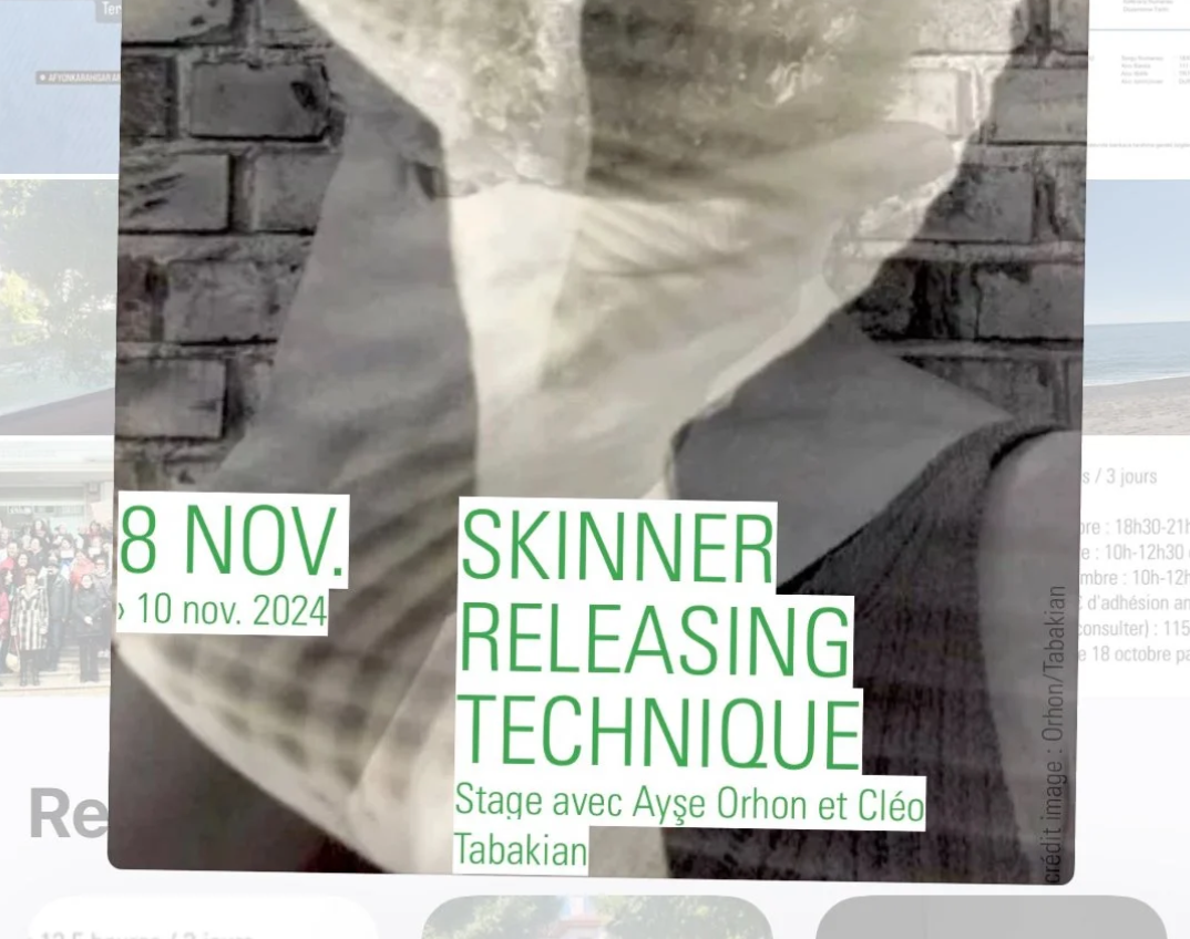 Skinner Releasing Week-end Intensive (in French)  -ENG-