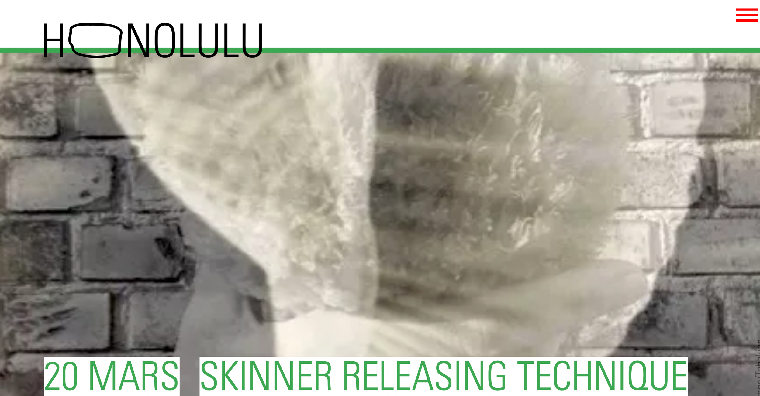 Skinner Releasing Weekend Intensive (in French and partially in English)