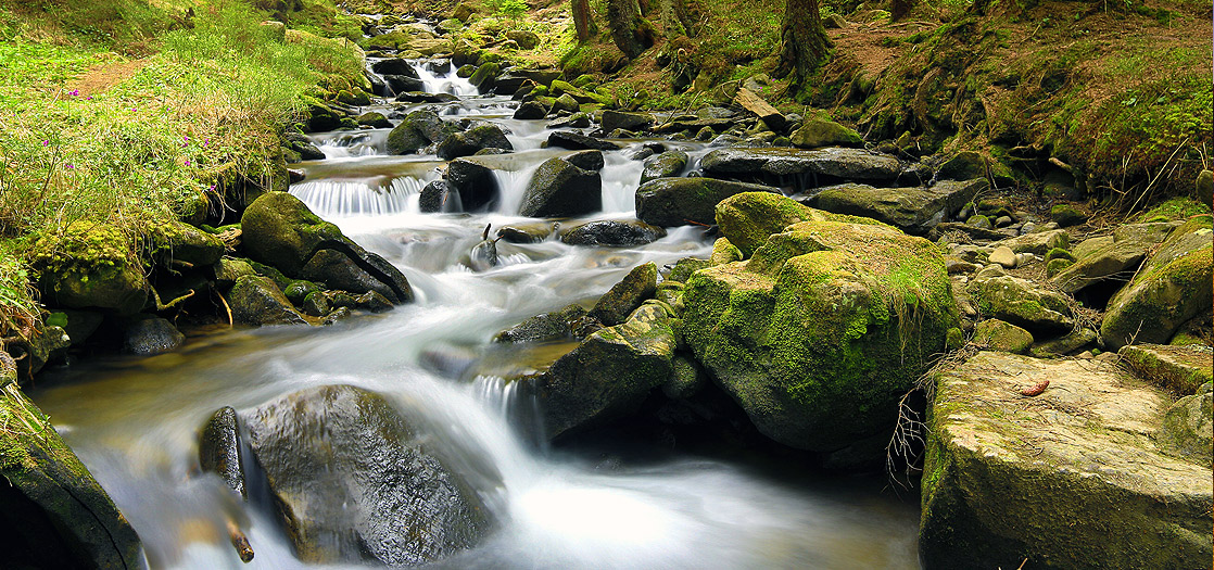 web-image-headers-4.jpg