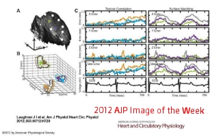 2012 AJP Image of the Week