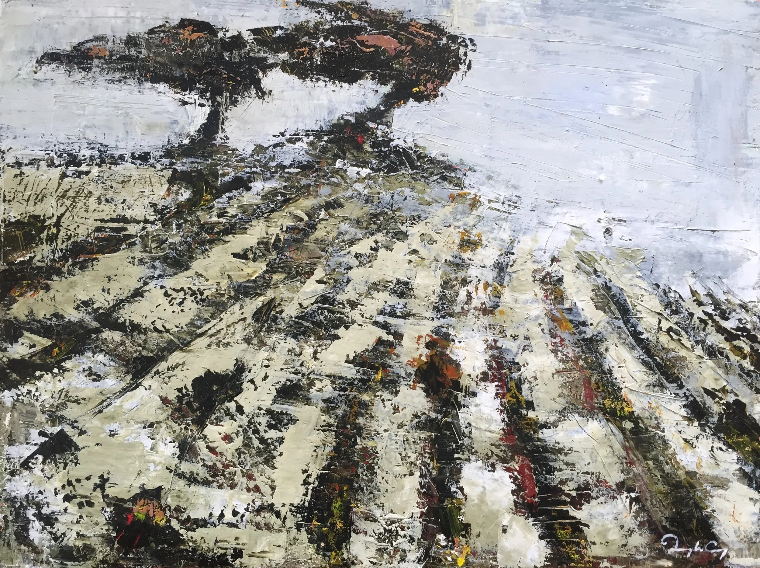 Tilled &nbsp;Oil on board. &nbsp;23cm x 30cm 2016