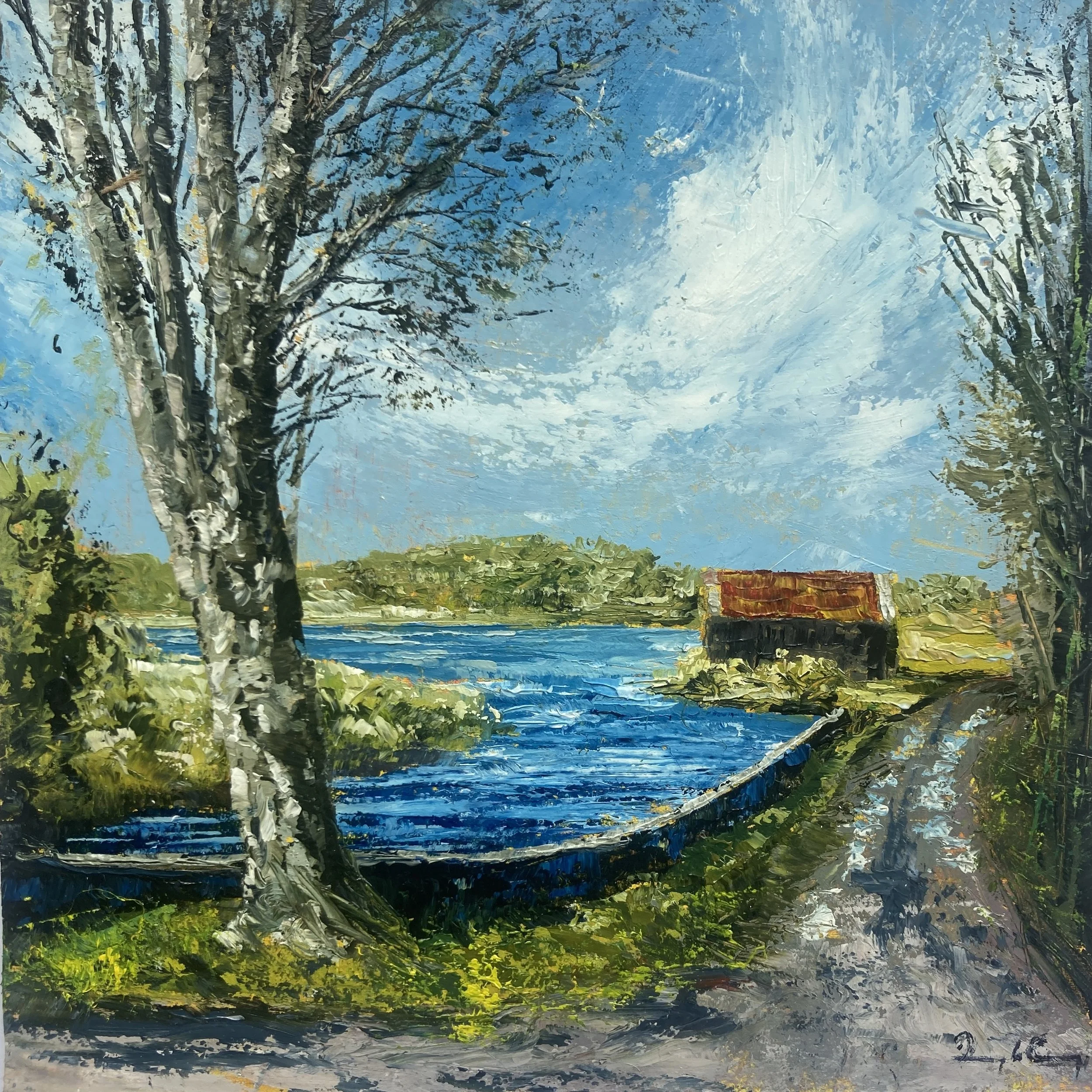 Donagh carey artist Red Roof, Crewe Inlet