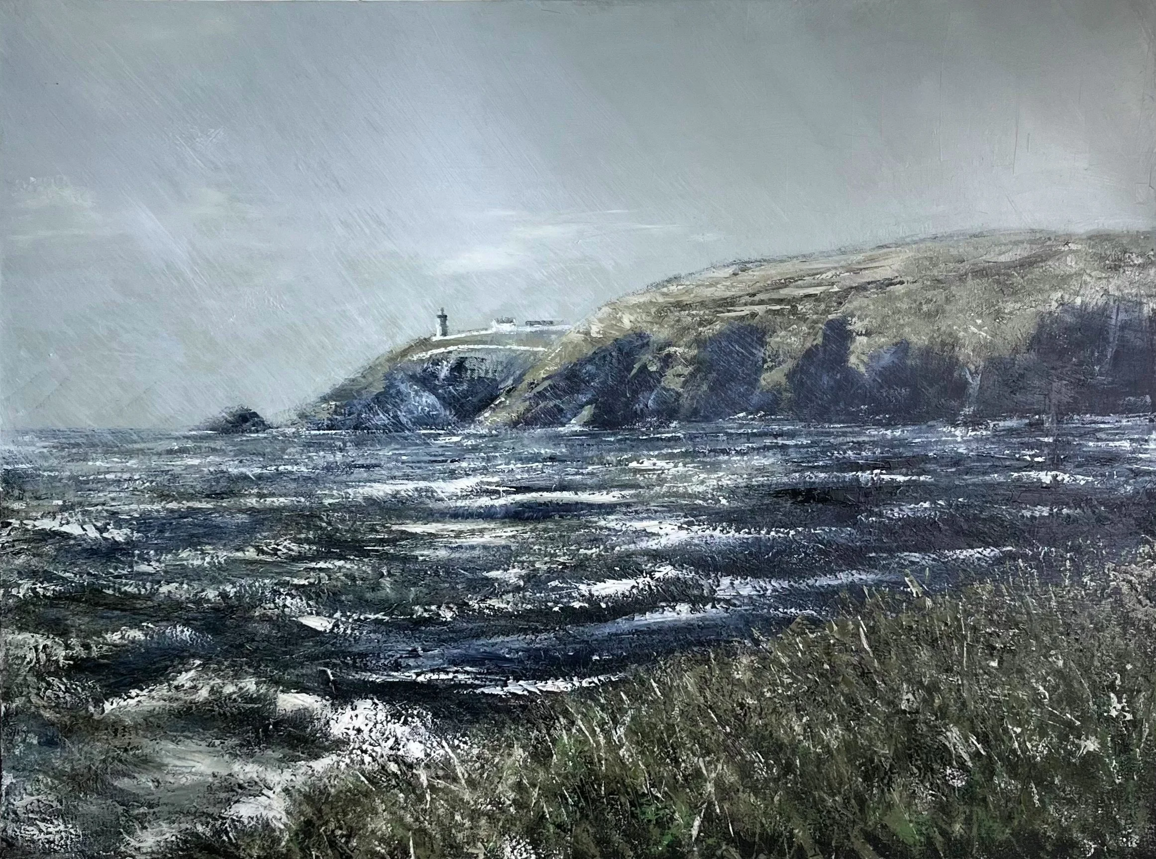 Galley Head ll.jpg