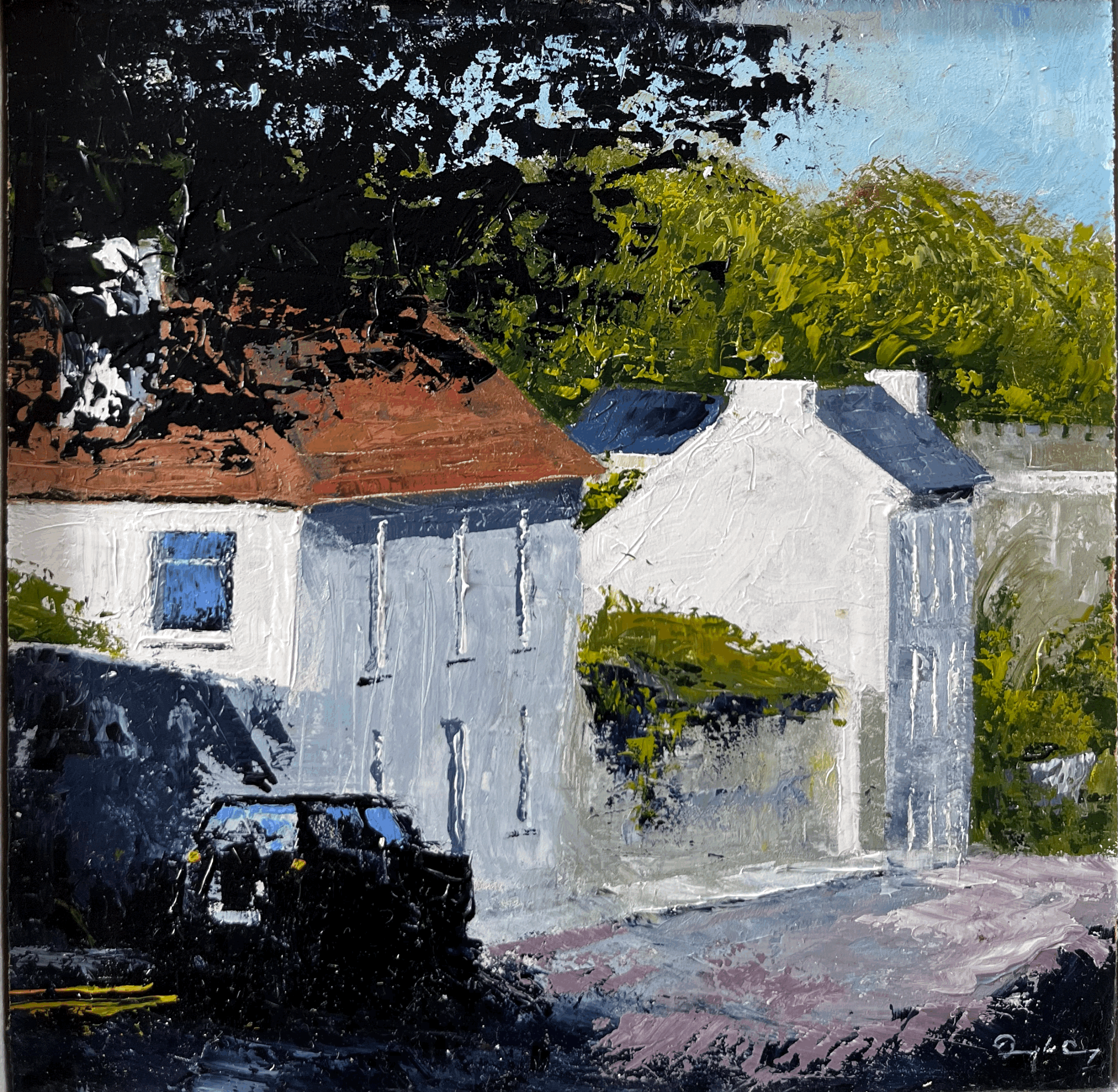 Donagh Carey White Houses, Castletownshend