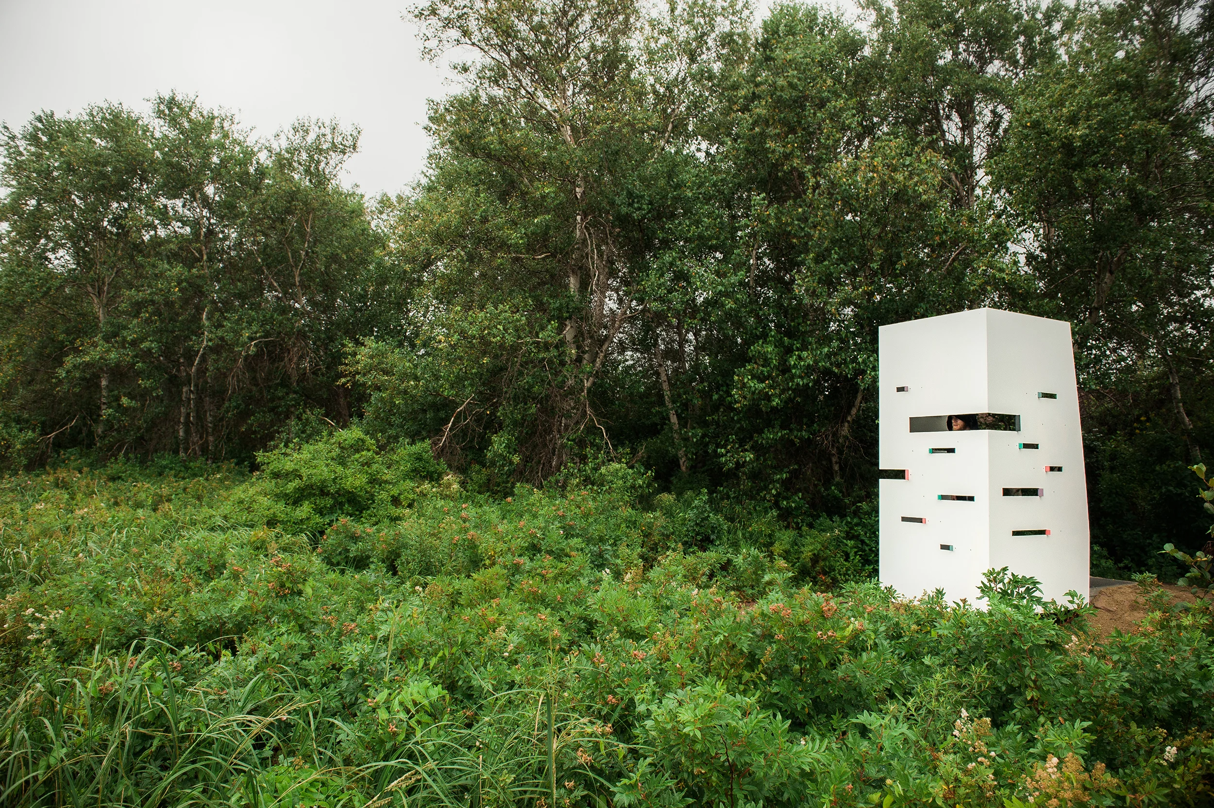 migrations_site_saltmarsh.jpg