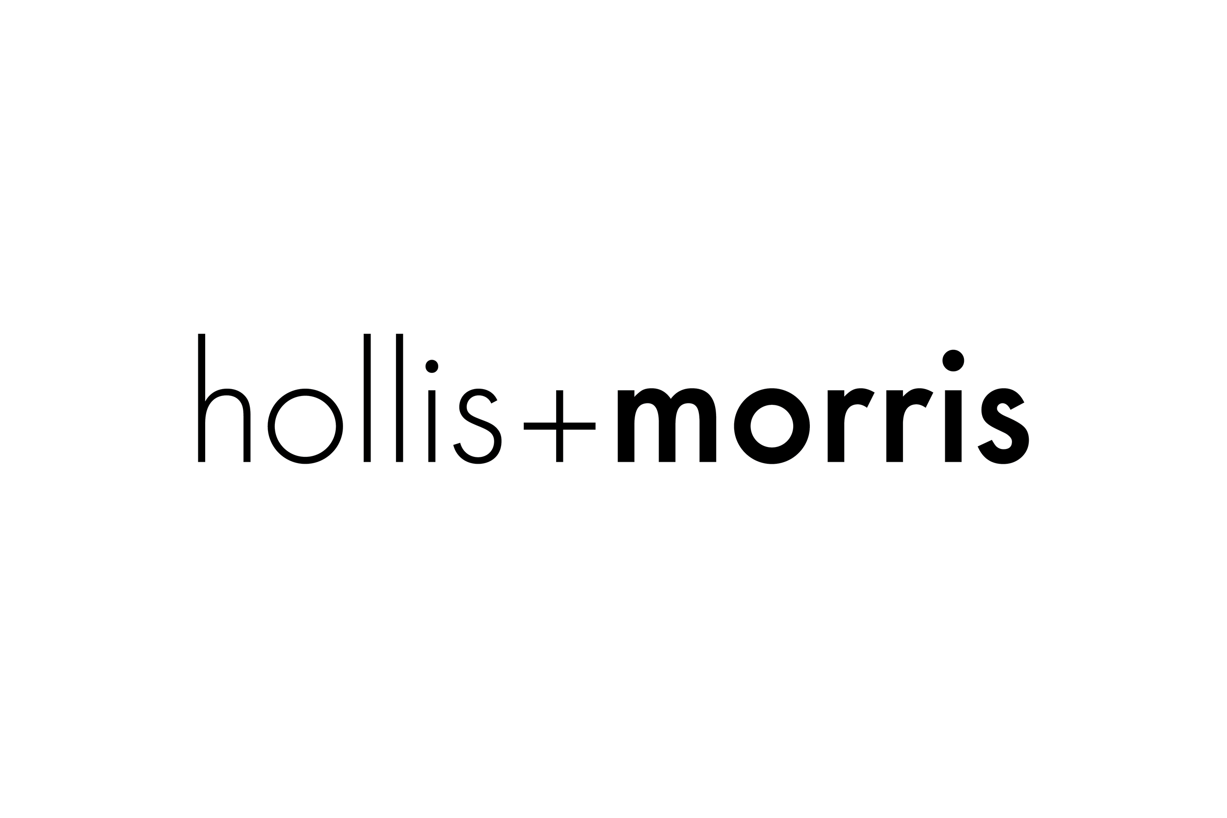 hollis+morris_logo_white.png