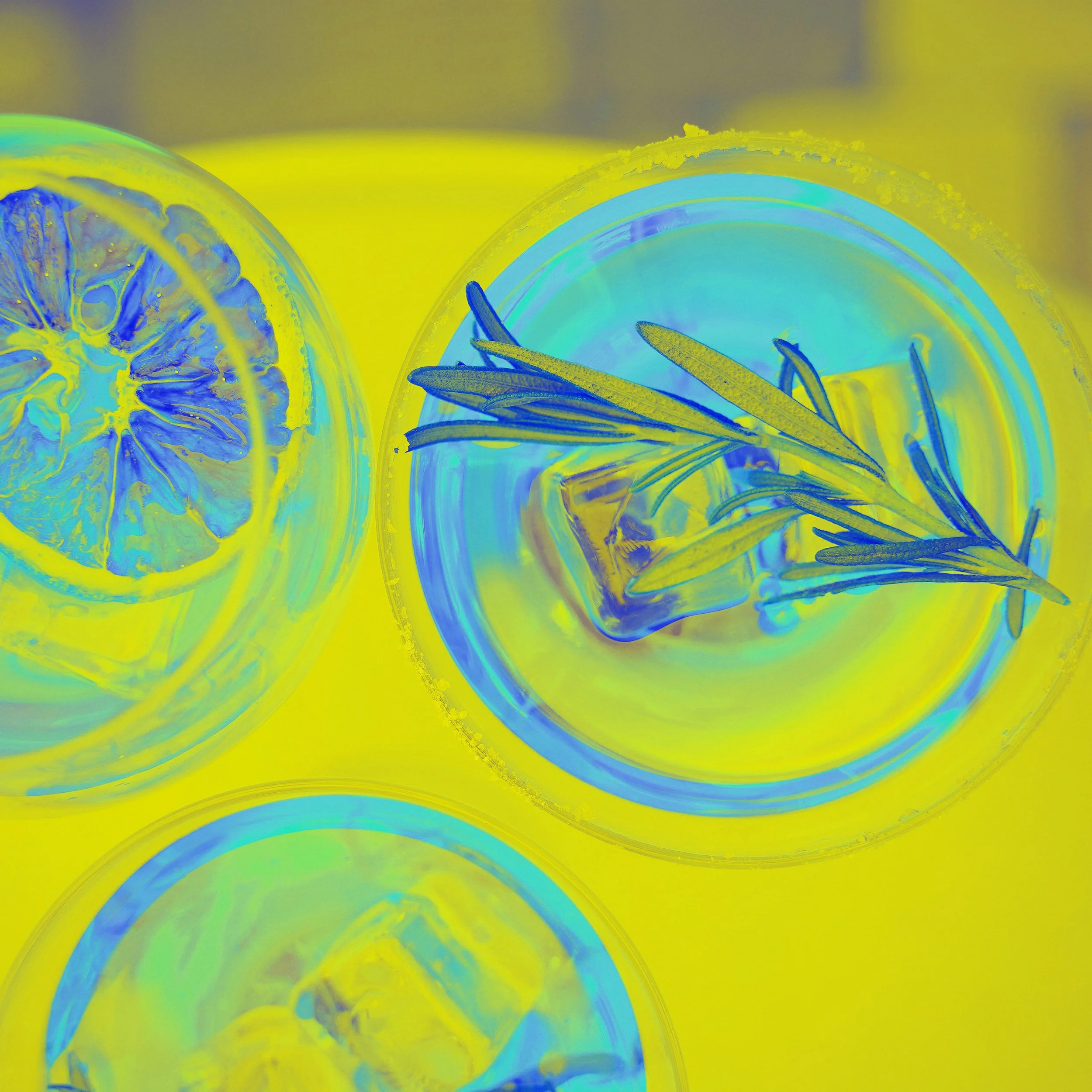 cocktail create APR TURQ.jpg