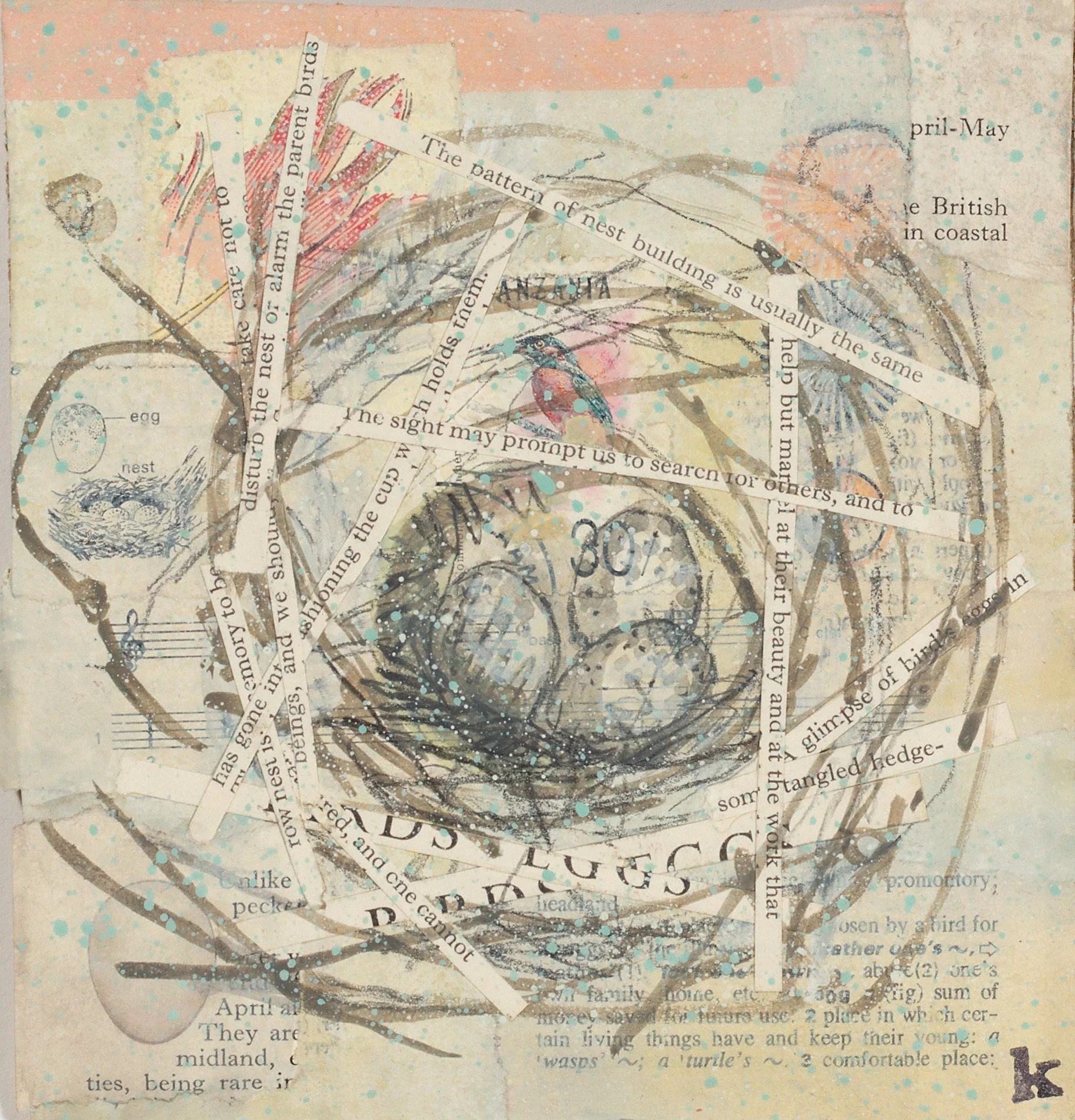 nest 1 (Limited Edition Print)