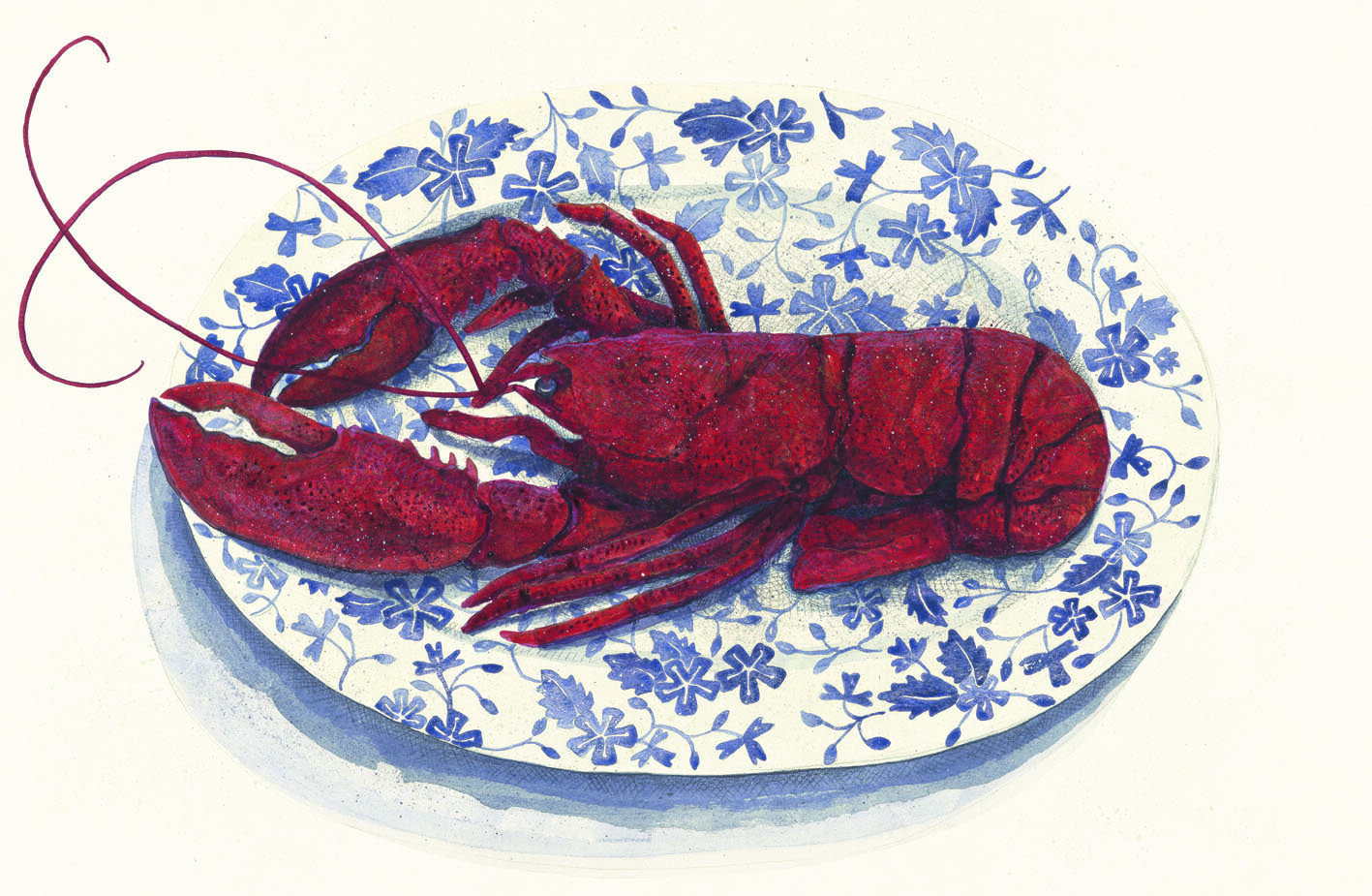 Cornish lobster240dpi.jpg