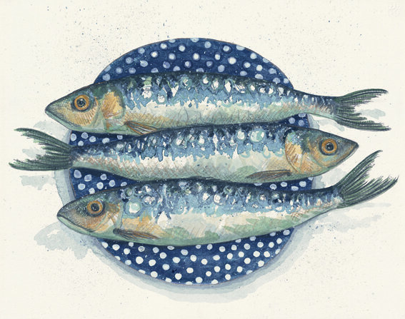 sardines 72dpi.jpg