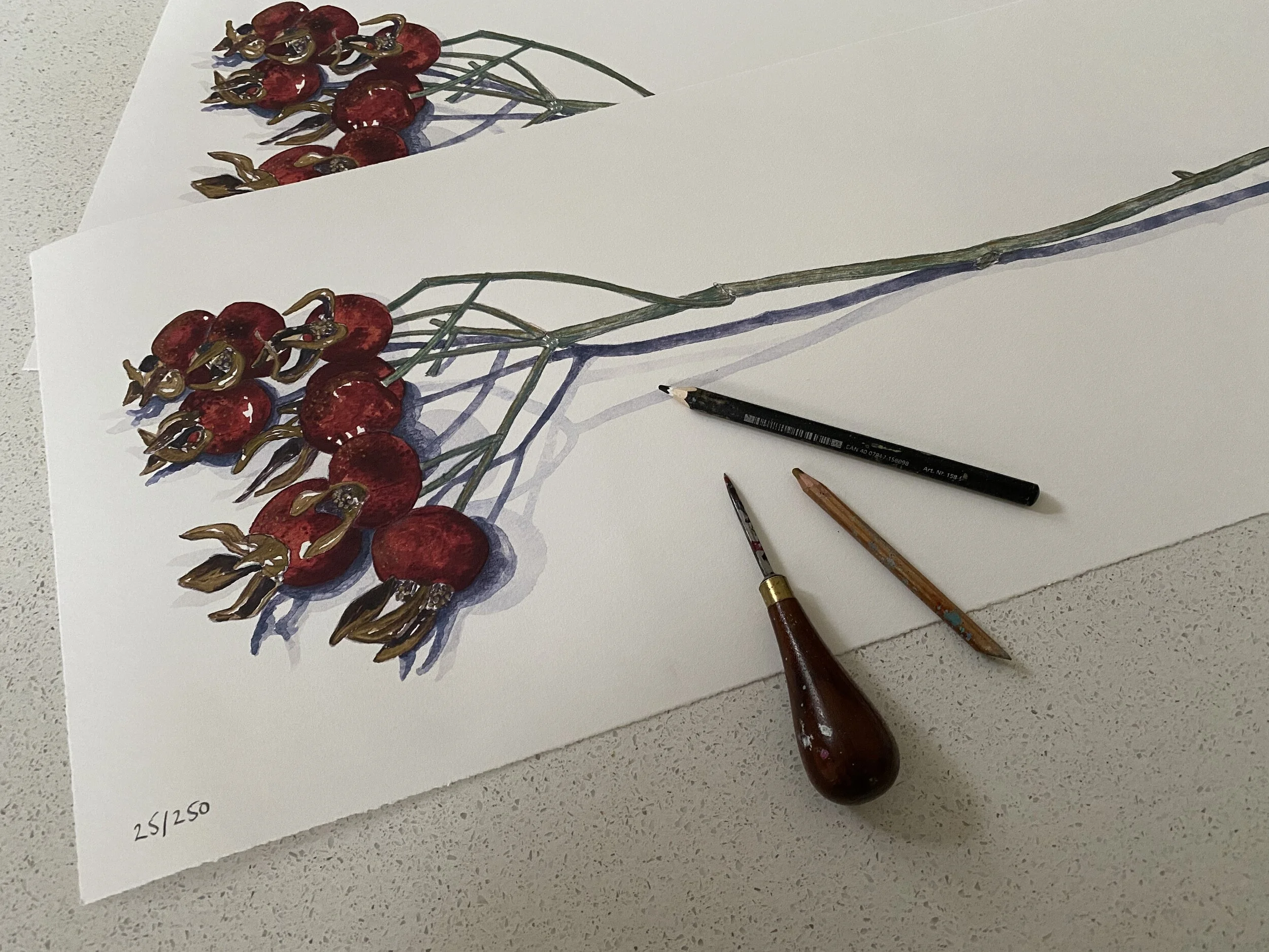 Featured Artwork No. 2: Rosehips by Kirsten Jones