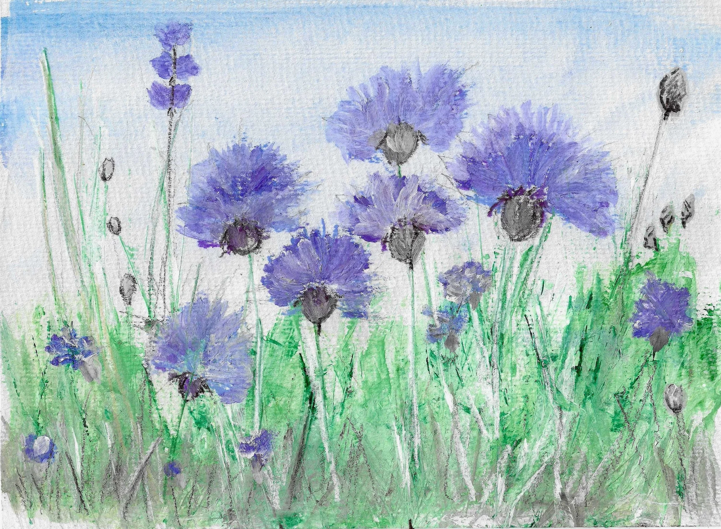 venue3 Nicola May Cornflowers.jpeg (Copy)