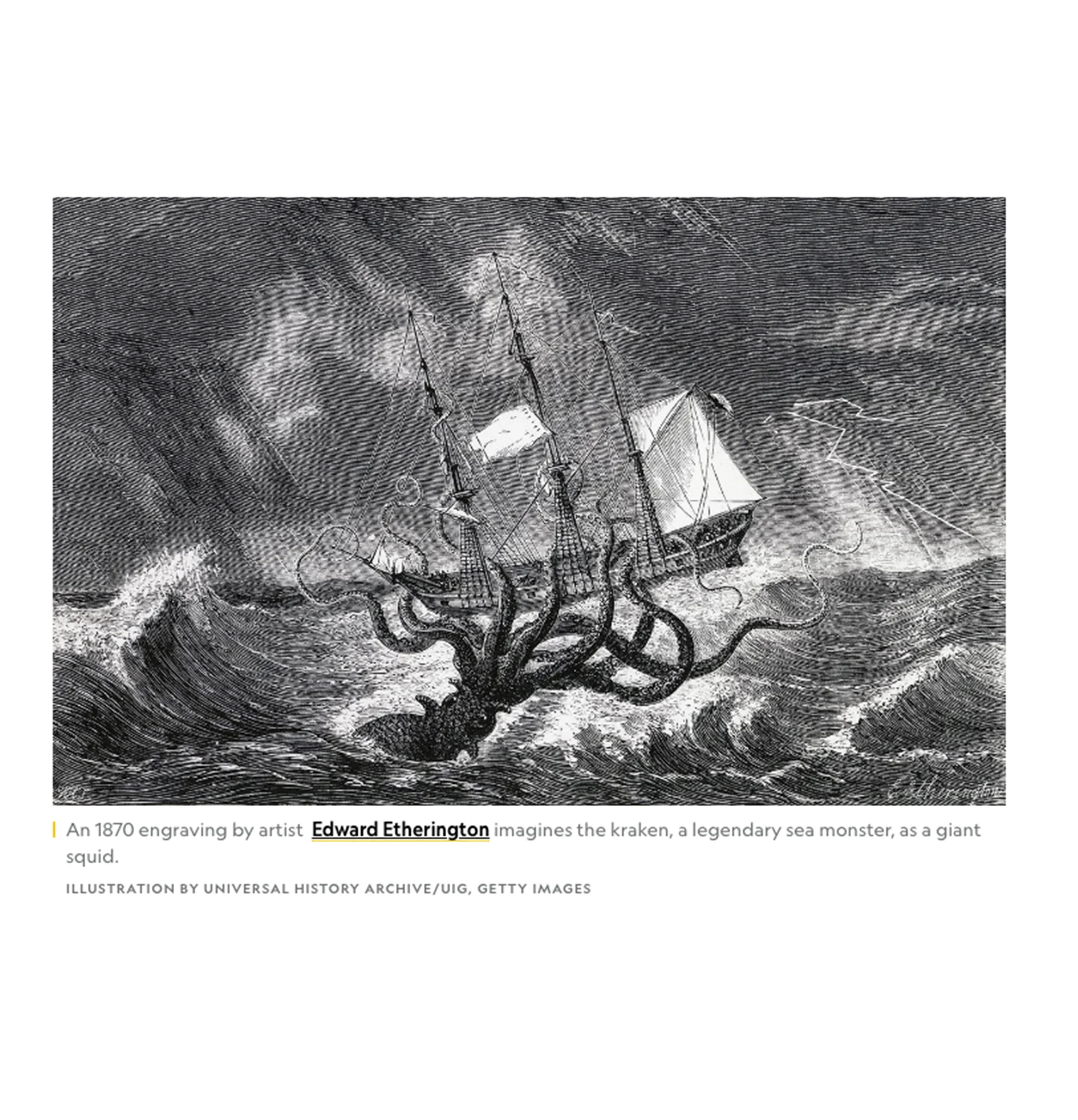 Fowey-Regatta-Carnival-inspo_0001s_0008_Kraken.jpg
