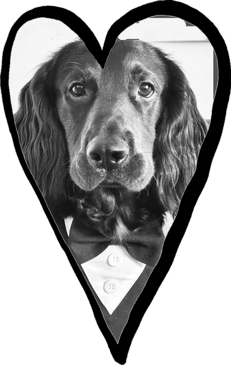 marco_0008_dog.jpg (Copy)