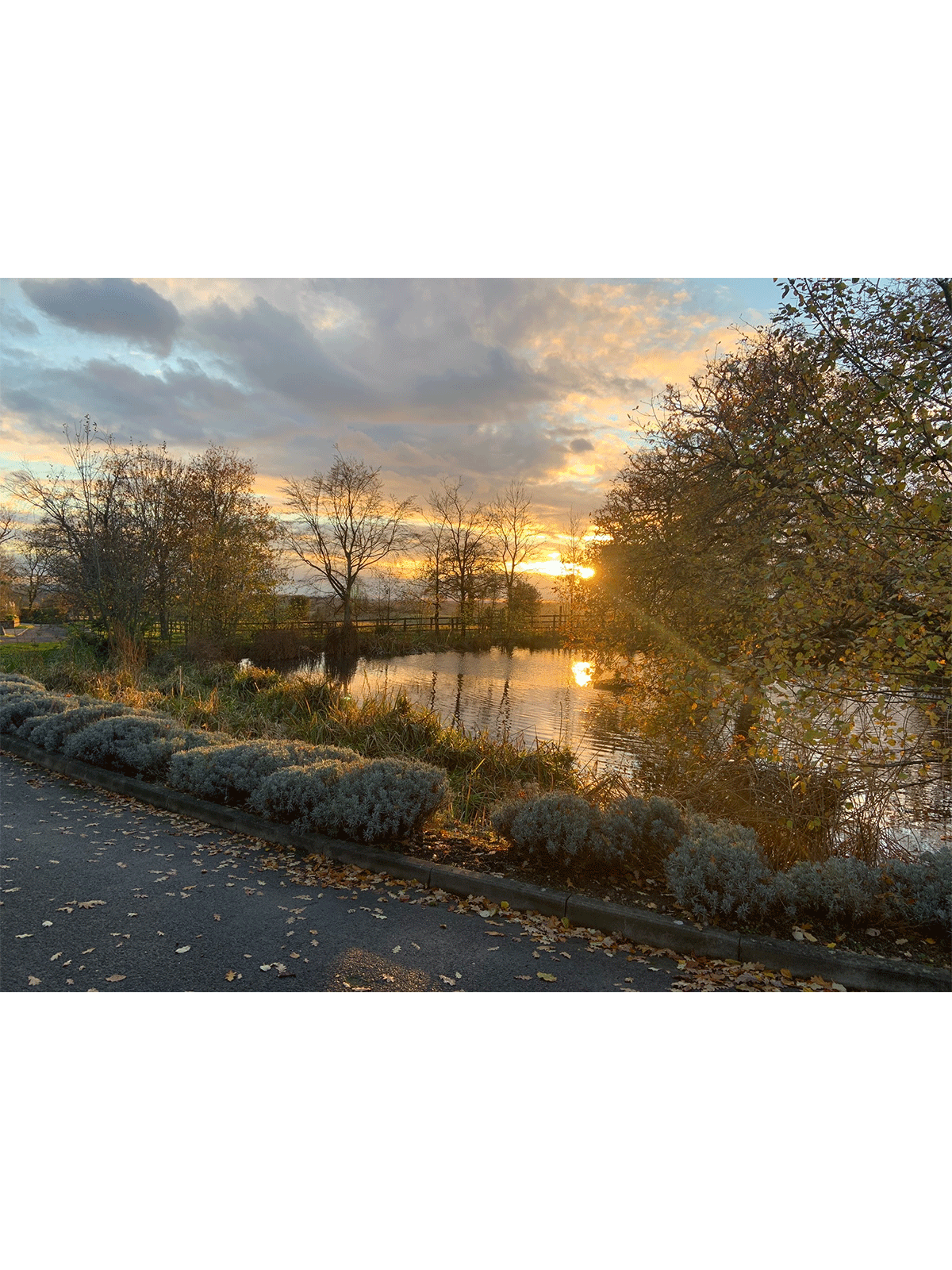 SJ-photos1_0039_6BA38807-7CC8-49DF-8E80-F98B3AA4523A.png