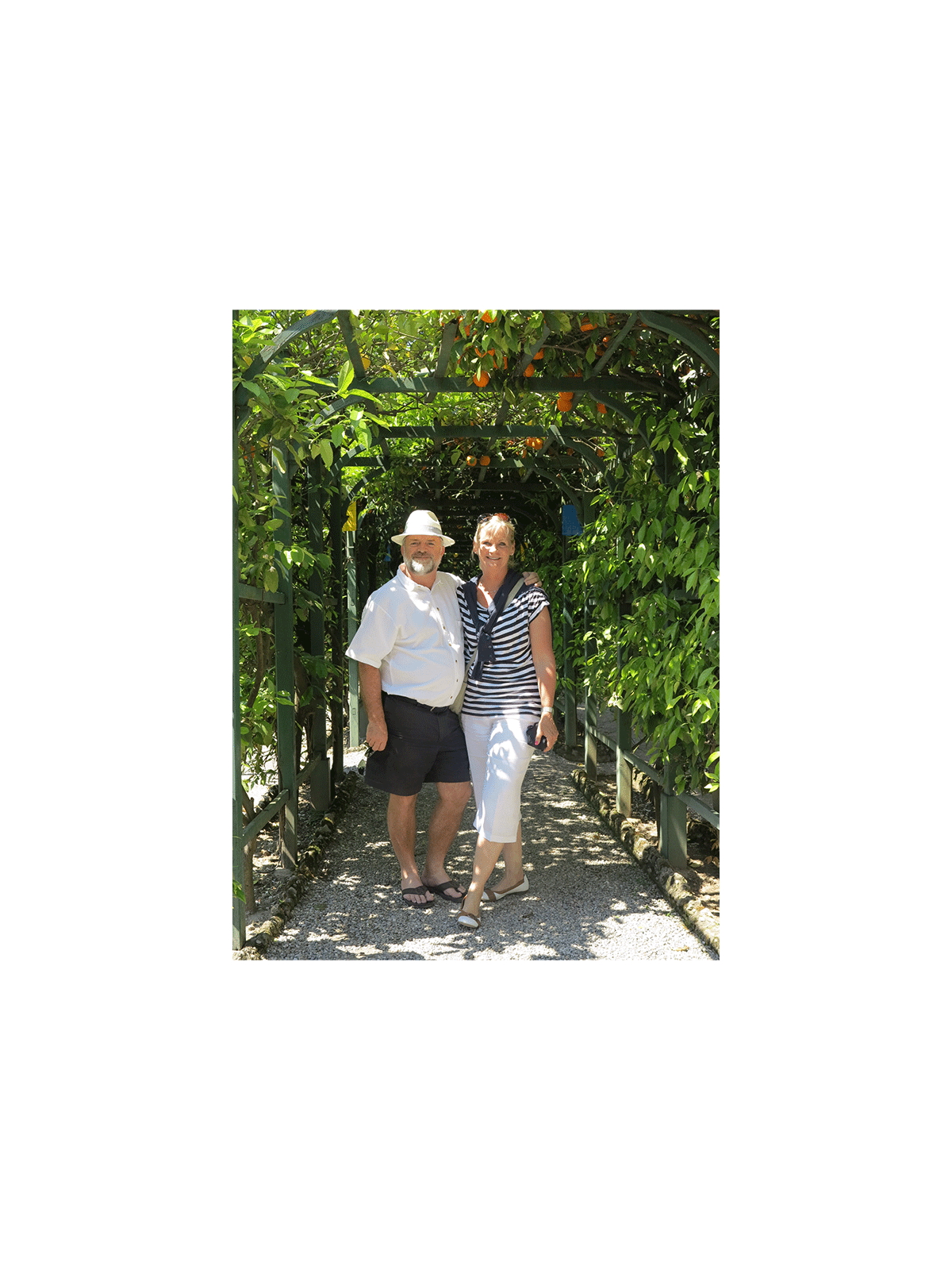 SJ-photos1_0027_41A6B18F-4EB5-4942-9E3A-69C3D4BACD05.png