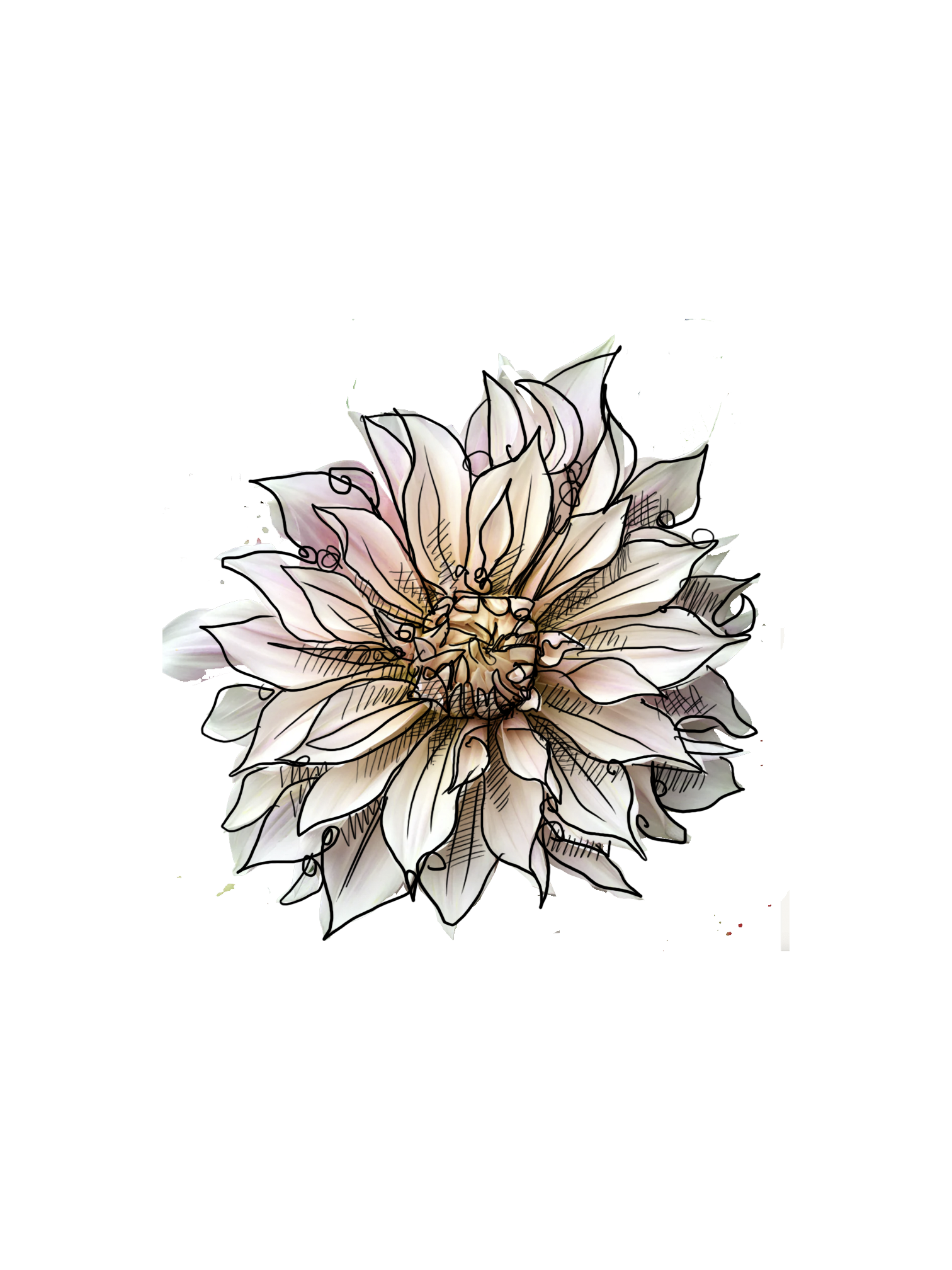 dahlia soft.png