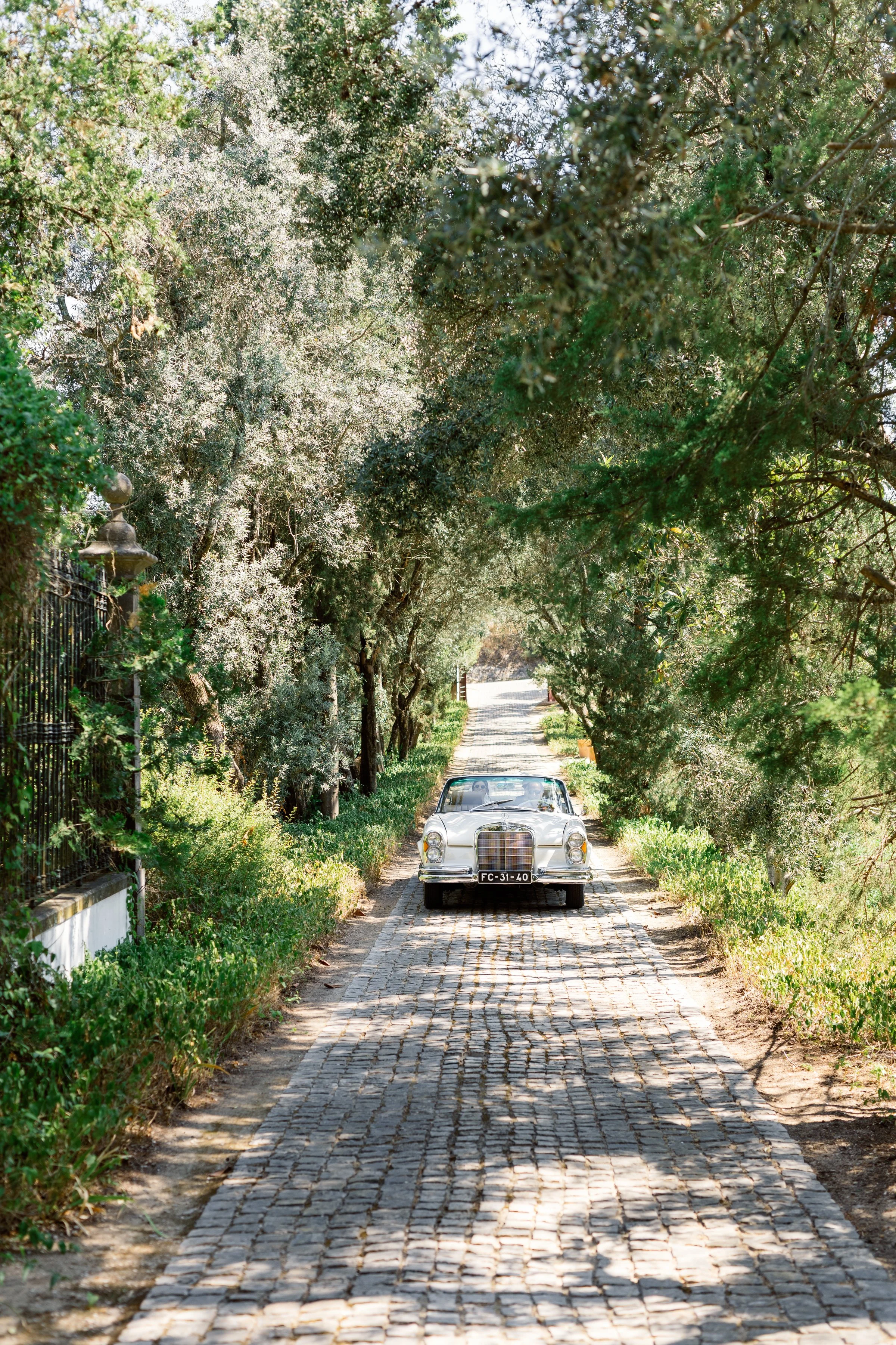AmoremioWeddingPhotography_Charlotte&amp_Sandy_0900.jpg