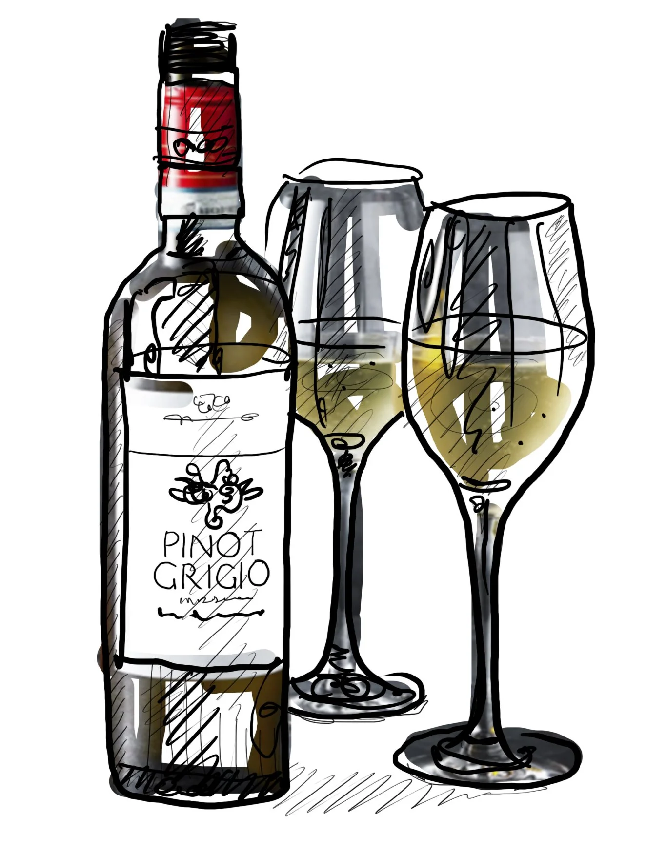 pinot grigio sketch.jpg