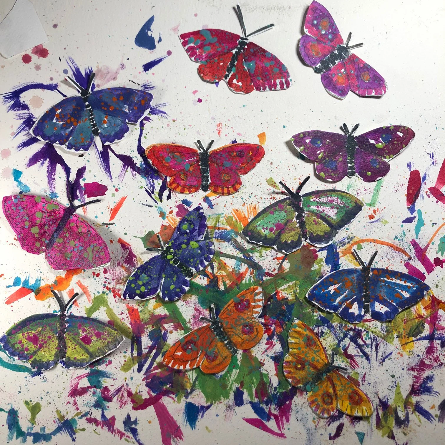 butterfly icon.jpg