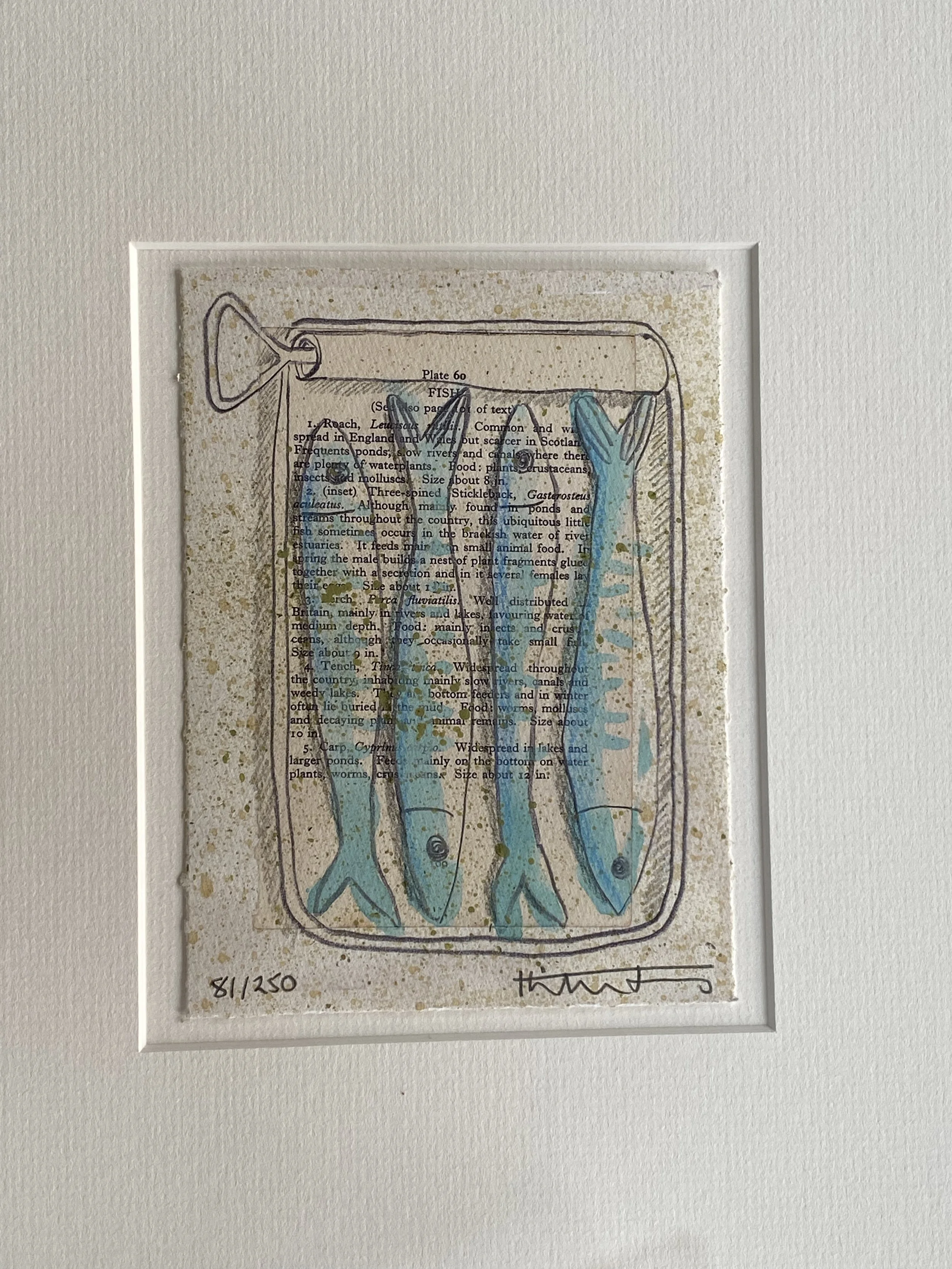 tinned fish-2026.jpg