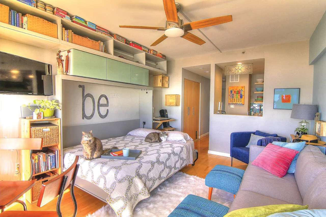 murphybed open-living space.jpg