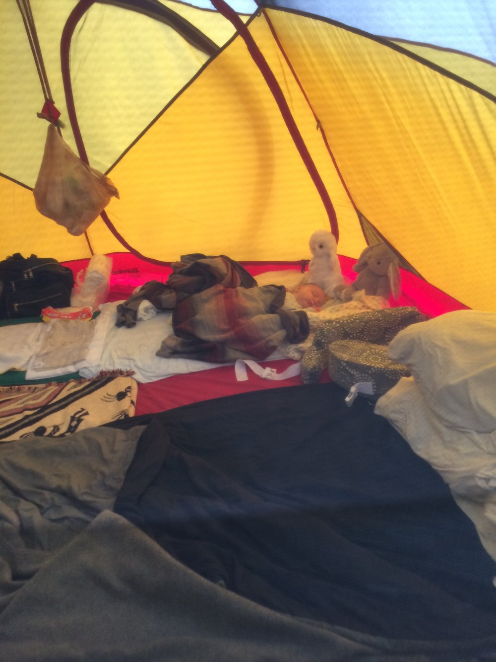  Benji breaking in the new family-size tent in Kamouraska! 