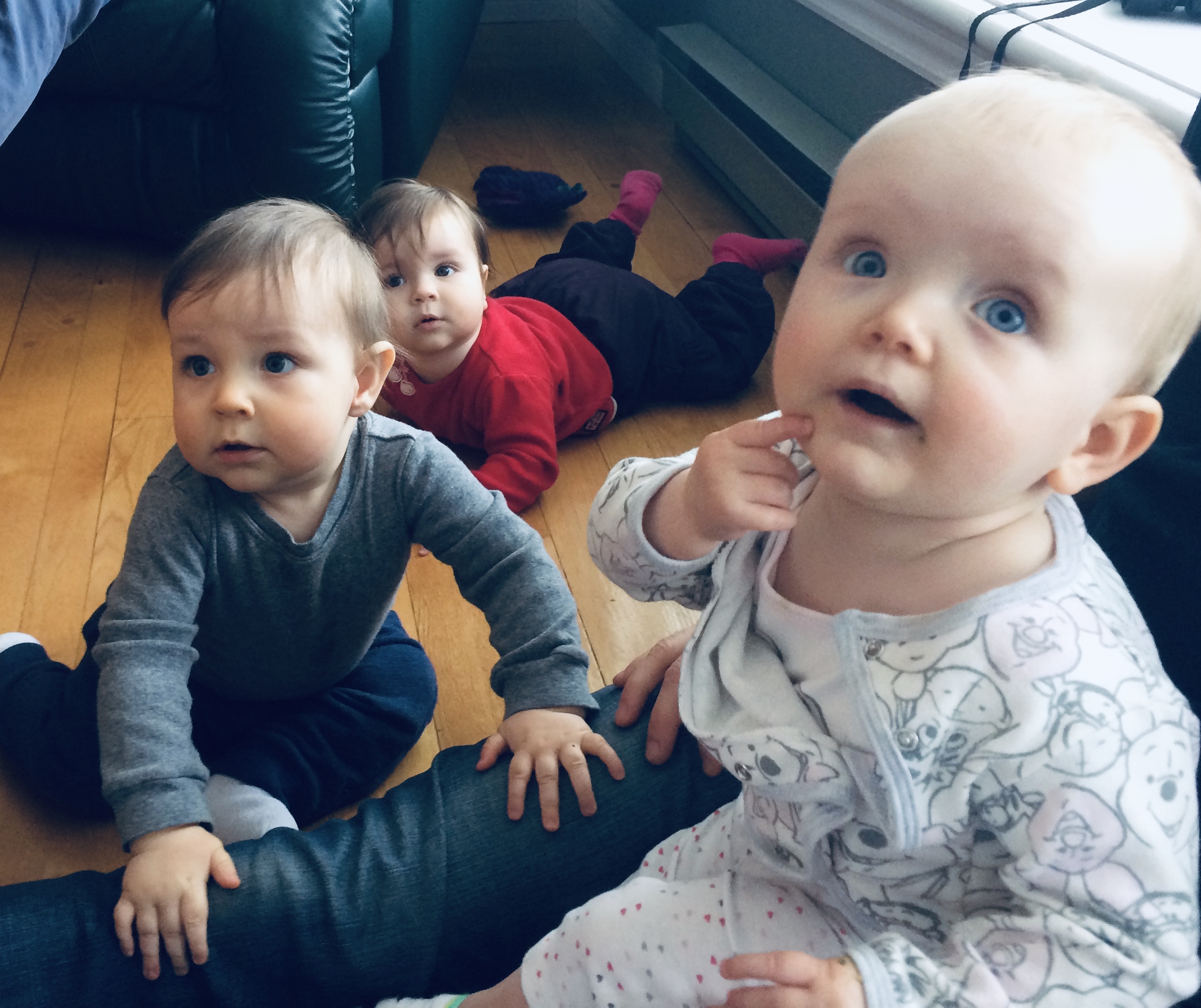 we took a break from opening boxes a few weeks ago to visit our friends with babies! éléonore, right, is a few days younger than benji, and bleuenn in the back there is about a month younger. so fun to watch them wiggle around each other!