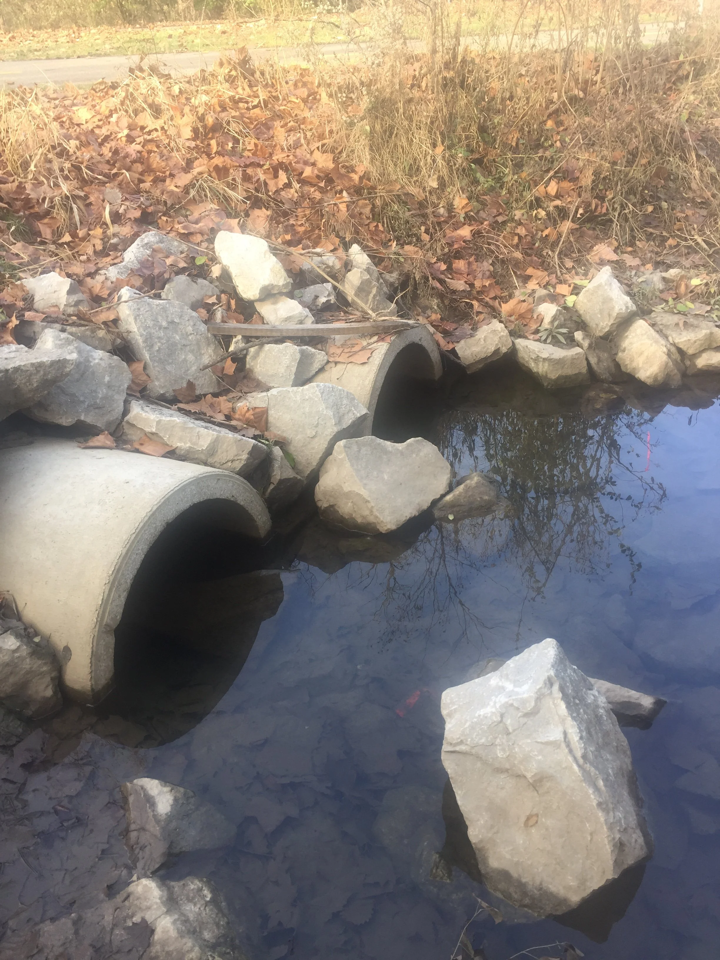 Cooper Park Image.JPG