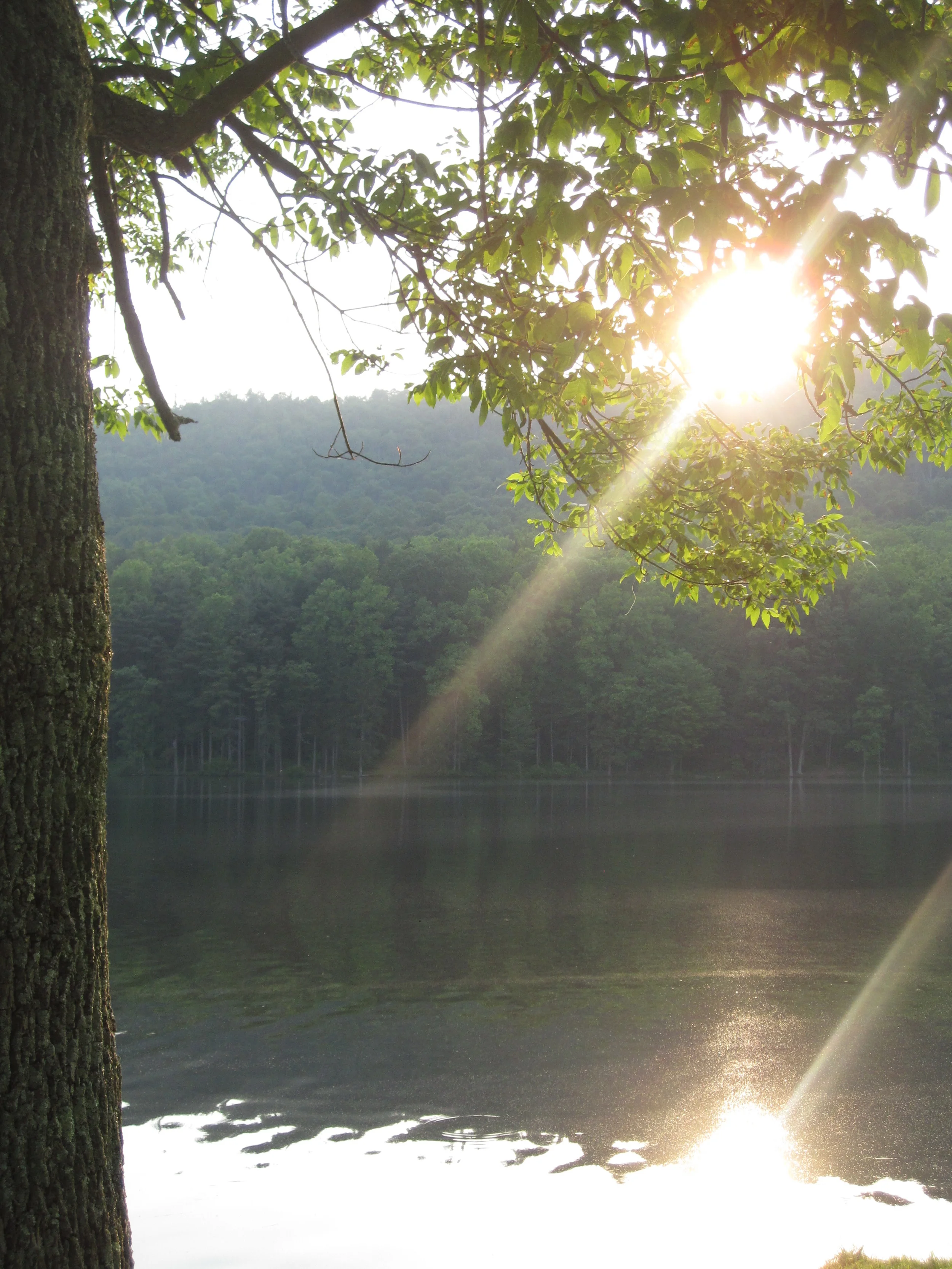 You Will Know Them by Their...Quiet Times?