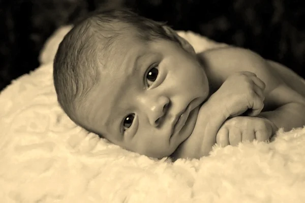 newborn-baby-990691_960_720.jpg