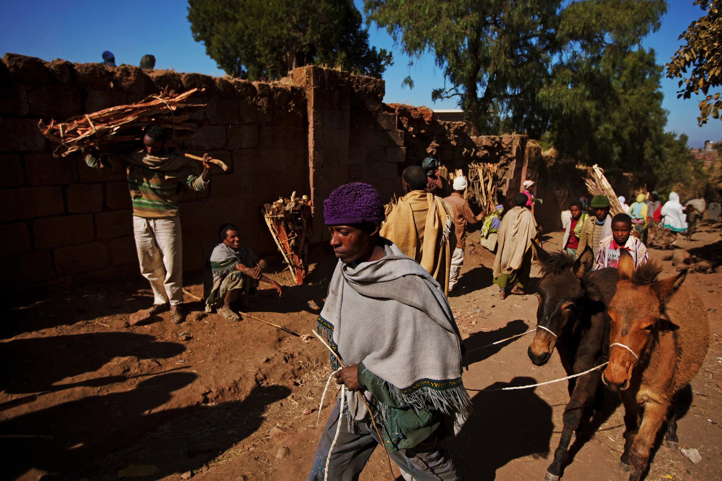 Man-walks-with-his-ponies-on-a-street-of-Lalibela,-Ethiopia.jpg