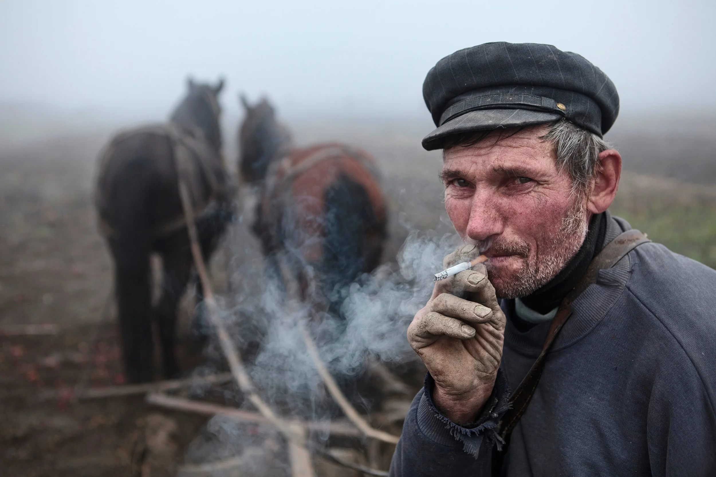 Romanian farmer in the fog