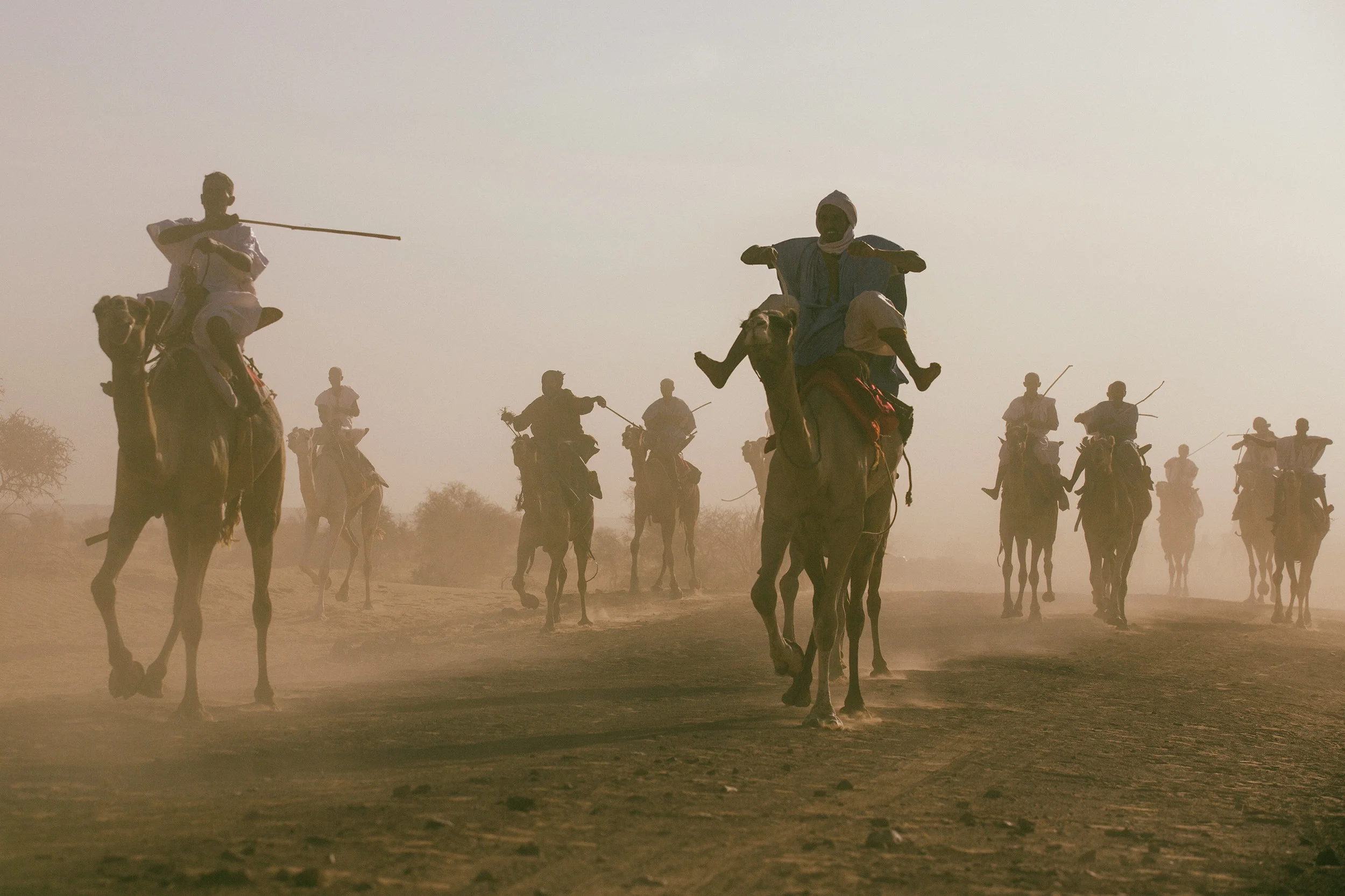 Off to the camel races